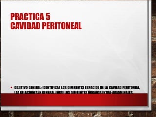 PRACTICA 5
CAVIDAD PERITONEAL
• OBJETIVO GENERAL: IDENTIFICAR LOS DIFERENTES ESPACIOS DE LA CAVIDAD PERITONEAL,
LAS RELACIONES EN GENERAL ENTRE LOS DIFERENTES ÓRGANOS INTRA-ABDOMINALES.
 