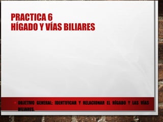 PRACTICA 6
HÍGADO Y VÍAS BILIARES
• OBJETIVO GENERAL: IDENTIFICAR Y RELACIONAR EL HÍGADO Y LAS VÍAS
BILIARES.
 