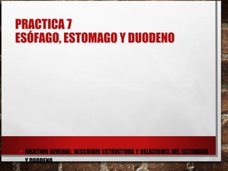 PRACTICA 7
ESÓFAGO, ESTOMAGO Y DUODENO
• OBJETIVO GENERAL: DESCRIBIR ESTRUCTURA Y RELACIONES DEL ESTOMAGO
Y DUODENO.
 