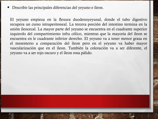 • Describir las principales diferencias del yeyuno e íleon.
El yeyuno empieza en la flexura duodenoyeyunal, donde el tubo digestivo
recupera un curso intraperitoneal. La tercera porción del intestino termina en la
unión ileocecal. La mayor parte del yeyuno se encuentra en el cuadrante superior
izquierdo del compartimiento infra cólico, mientras que la mayoría del íleon se
encuentra en le cuadrante inferior derecho. El yeyuno va a tener menor grasa en
el mesenterio a comparación del íleon pero en el yeyuno va haber mayor
vascularización que en el íleon. También la coloración va a ser diferente, el
yeyuno va a ser rojo oscuro y el íleon rosa pálido.
 