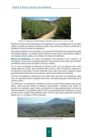 Capítulo 4: Diseño y ejecución de la plantación
34
Durante los primeros años improductivos de la plantación no es aconsejable poner en las calles
cultivos asociados de especies herbáceas anuales, pues retrasan la entrada en producción y
dificultan el correcto manejo de la plantación.
Otra práctica habitual y no recomendada, es el aumento de la densidad de una plantación adulta
intercalando plantones. Los árboles jóvenes tardarán muchos años en desarrollarse, debido a
la competencia de los adultos, y se complica el manejo de la plantación.
Marcos de plantación. Los marcos de plantación más utilizados son el cuadrado y el
rectangular. El marco real o cuadrado mantiene la misma distancia entre calles que entre filas,
permitiendo la ejecución de las labores en los dos sentidos.
Con un marco rectangular la plantación se dispone en filas, con una distancia menor entre
árboles dentro de las filas, que la existente entre las filas o calle. El tránsito de maquinaria y
la realización de las labores se hacen solamente en las calles. Este marco consigue un mejor
aprovechamiento del terreno que el cuadrado, siendo el más utilizado en fruticultura.
A la hora de establecer la disposición de las calles habrá que tener en consideración, entre
otros, los siguientes factores: pendiente del terreno, orientación geográfica, dimensiones de la
parcela y viento.
En plantaciones con pendiente, la pérdida de suelo por erosión hídrica puede causar graves
daños, siendo prioritario diseñar la plantación para eliminar o minimizar estos daños. En
parcelas con pendiente suaves, habrá que disponer las calles perpendiculares a la línea de
máxima pendiente. Con pendientes entre 5-10% es recomendable hacer la plantación a curvas
de nivel y marco irregular. Para pendientes entre 10-20% se aconseja la plantación en terrazas
(Figura 4.6), y si se supera el 20% en bancales.
Figura 4.5. Plantación de alta densidad de almendro, marco 4 x 1,5 m, en su 3º verde.
Figura 4.6. Plantaciones en terraza y curvas de nivel.
 