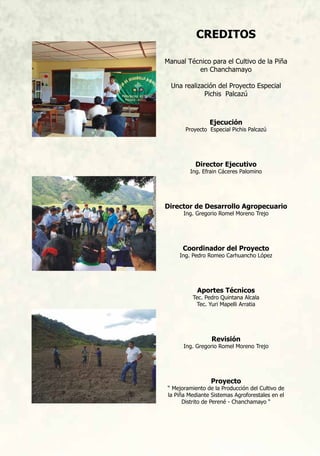 Creditos
Manual Técnico para el Cultivo de la Piña
en Chanchamayo
Una realización del Proyecto Especial
Pichis Palcazú
Ejecución
Proyecto Especial Pichis Palcazú
Director Ejecutivo
Ing. Efrain Cáceres Palomino
Director de Desarrollo Agropecuario
Ing. Gregorio Romel Moreno Trejo
Coordinador del Proyecto
Ing. Pedro Romeo Carhuancho López
Aportes Técnicos
Tec. Pedro Quintana Alcala
Tec. Yuri Mapelli Arratia
Revisión
Ing. Gregorio Romel Moreno Trejo
Proyecto
“ Mejoramiento de la Producción del Cultivo de
la Piña Mediante Sistemas Agroforestales en el
Distrito de Perené - Chanchamayo “
 