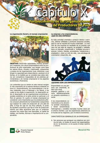 38 Manual de PiñaProyecto Especial
Pichis Palcazú
La organización Social y el manejo empresarial.
OBJETIVO: Desarrollar capacidades, motivar, sensibili-
zar e implantar una cultura emprendedora entre los pro-
ductores de piña organizados, que tengan como base
los valores éticos, morales y espirituales, subyacentes
y propios de las organizaciones vivas, dinámicas y que
tengan la capacidad para desarrollarse y perdurar en el
tiempo, en la medida que se considera que estos valo-
res son compañeros inseparables de las prácticas ad-
ministrativas o de manejo empresarial en los aspectos
económicos y financieros.
Los contenidos que se vierten en este manual recogen
lo más importante de la extensa literatura existente en
torno al emprendimiento, los emprendedores y los te-
mas colaterales como el liderazgo y los líderes, a los
cuales se les añade la experiencia y la observación so-
bre el desempeño de las organizaciones económicas y
sociales existentes en la selva central en particular y el
Perú en general. En cuanto al manejo empresarial se
consideran como importantes que los productores piñe-
ros conozcan plenamente los fundamentos subyacentes
que explican los costos de producción de una jaba de
piña, el flujo de caja de una finca piñícola, el punto
de equilibrio económico que fija el nivel de producción
mínimo que debe alcanzarse para que un productor
recupere sus costos fijos mas esenciales, el capital de
trabajo: sus fuentes, técnicas e importancia de su con-
servación.
La empresa y los emprendedores.
¿QUE ES UNA EMPRESA?
Es toda actividad orientada a producir bienes o servi-
cios, obtener utilidades o promover proyectos sociales,
para lo cual se requiere de mucha creatividad . La crea-
ción de una empresa es resultado de un proceso que
nace de una idea de negocio, es probada y validada,
tiene un mercado, compromete a múltiples recursos y
actores ( dinero, clientes, proveedores, instalaciones y
empleados ), tiene un ciclo de vida, una estrategia de
crecimiento y desarrollo, etc.
¿QUIENES SON LOS EMPRENDEDORES?
Emprendedor es una per-
sona que emprende, es
decir que inicia,
empieza, gestiona y cul-
mina satisfactoriamente
un proyecto económico o
social.
A los emprendedores co-
múnmente se les denomi-
na también empresarios,
y tienen características
heterogéneas y variables marcadas muchas veces por
el entorno familiar y por las experiencias anteriores en
el mundo de los negocios y por el entorno económico.
CARACTERÍSTICAS GENERALES DE UN EMPRESARIO:
A.	 Son personas que persiguen sus objetivos por enci-
ma de todo, no dudan en asumir las responsabilida-
des de las decisiones y no les agrada el trabajo repetitivo
y rutinario.
Capítulo XCapítulo X
Fortalecimiento de las Organizaciones
de Productores de Piña
Fortalecimiento de las Organizaciones
de Productores de Piña
 