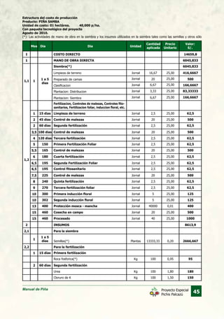 Manual de Piña
45Proyecto Especial
Pichis Palcazú
Estructura del costo de producción
Producto: PIÑA SAMBA
Unidad de costo: 01 hectárea.	 40,000 p/ha.
Con paquete tecnológico del proyecto
Agosto de 2010.
(*): Las actividades de mano de obra en la siembra y los insumos utilizados en la siembra tales como las semillas y otros sólo
Mes Día Unidad
Cantidad
aplicada
Precio
Unitario
Valor:
S/.Día
I
1
2
2,1
2,2
1,1
1,2
1
1
2
2
3,5
4
5
5,5
6
6,5
6,5
7,5
8
9
10
10
13
15
15
1
2
1
1 a 5
dias
COSTO DIRECTO
MANO DE OBRA DIRECTA
INSUMOS
Para la siembra
Para la fertilización
Siembra(*)
Limpieza de terreno
Fertilizacion, Controles de malezas, Controles fito-
sanitarios, Fertilizacion foliar, induccion floral, etc.
Limpieza de terreno
Control de malezas
Segunda fertilización
Control de malezas
Tercera fertilización
Primera Fertilización Foliar
Control de malezas
Cuarta fertilización
Segunda Fertilización Foliar
Control fitosanitario
Control de malezas
Quinta fertilización
Tercera fertilización foliar
Primera inducción floral
Segunda inducción floral
Protección mosca - mancha
Cosecha en campo
Procesado
Primera fertilización
Segunda fertilización
Roca fosforica(*)
Urea
Cloruro de K
Semillas(*)
Jornal
Jornal
Jornal
Jornal
Jornal
Jornal
Jornal
Jornal
Jornal
Jornal
Jornal
Jornal
Jornal
Jornal
Jornal
Jornal
Jornal
Jornal
Jornal
Kg
Kg
Kg
Plantas
15 dias
45 dias
60 dias
100 dias
120 dias
150
165
180
195
195
225
240
270
300
302
400
460
460
15 días
60 días
1 a 5
días
16,67
2,5
20
2,5
20
2,5
2,5
20
2,5
2,5
2,5
20
2,5
2,5
5
5
40000
20
40
100
100
100
13333,33
25,00
25,00
25,00
25,00
25,00
25,00
25,00
25,00
25,00
25,00
25,00
25,00
25,00
25,00
25,00
25,00
0,01
25,00
25,00
0,95
1,80
1,50
0,20
25,00
25,00
25,00
25,00
6,67
3,33
6,67
20Jornal
Jornal
Jornal
Jornal
Preparado de camas
Clasificacion
Plantacion: Distribucion
Plantacion: Siembra
14659,8
6045,833
8613,9
6045,833
416,6667
62,5
500
62,5
500
62,5
62,5
500
62,5
62,5
62,5
500
62,5
62,5
125
125
400
500
1000
95
180
150
2666,667
500
166,6667
83,33333
166,6667
 