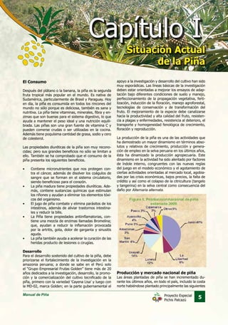 Manual de Piña
5Proyecto Especial
Pichis Palcazú
Capítulo ICapítulo I
Situación Actual
de la Piña
Situación Actual
de la Piña
El Consumo
Después del plátano o la banana, la piña es la segunda
fruta tropical más popular en el mundo. Es nativa de
Sudamérica, particularmente de Brasil y Paraguay. Hoy
en día, la piña es consumida en todos los rincones del
mundo no sólo porque es deliciosa, también es sana y
nutritiva. La piña tiene vitaminas, minerales, fibra y en-
zimas que son buenas para el sistema digestivo, lo que
ayuda a mantener el peso ideal y una nutrición equili-
brada. Las piñas son una gran fuente de vitamina C y
pueden comerse crudas o ser utilizadas en la cocina.
Además tiene poquísima cantidad de grasa, sodio y cero
de colesterol.
Las propiedades diuréticas de la piña son muy recono-
cidas; pero sus grandes beneficios no sólo se limitan a
ello. También se ha comprobado que el consumo de la
piña presenta los siguientes beneficios.
•	 Contiene micronutrientes que nos protegen con-
tra el cáncer, además de disolver los coágulos de
sangre que se forman en el sistema circulatorio,
siendo beneficioso para el corazón.
•	 La piña madura tiene propiedades diuréticas. Ade-
más, contiene sustancias químicas que estimulan
los riñones y ayudan a eliminar los elementos tóxi-
cos del organismo.
•	 El jugo de piña combate y elimina parásitos de los
intestinos, además de aliviar trastornos intestina-
les y reducir la bilis.
•	 La Piña tiene propiedades antiinflamatorias, con-
tiene una mezcla de enzimas llamadas Bromelina;
que, ayudan a reducir la inflamación provocada
por la artritis, gota, dolor de garganta y sinusitis
aguda.
•	 La piña también ayuda a acelerar la curación de las
heridas producto de lesiones o cirugías.
Desarrollo
Para el desarrollo sostenido del cultivo de la piña, debe
priorizarse el fortalecimiento de la investigación en la
amazonia peruana; a donde se sabe en el Perú solo
el “Grupo Empresarial Frutas Golden” tiene más de 20
años dedicados a la investigación, desarrollo, la promo-
ción y la comercialización del cultivo tecnificado de la
piña, primero con la variedad ‘Cayena Lisa’ y luego con
la MD-02, marca Golden; en la parte gubernamental el
apoyo a la investigación y desarrollo del cultivo han sido
muy esporádicas. Las líneas básicas de la investigación
deben estar orientadas a mejorar los ensayos de adap-
tación bajo diferentes condiciones de suelo y manejo,
perfeccionamiento de la propagación vegetativa, ferti-
lización, inducción de la floración, manejo agroforestal,
tecnologías de conservación y de transformación del
fruto. El mejoramiento de la especie debe canalizarse
hacia la productividad y alta calidad del fruto, resisten-
cia a plagas y enfermedades, resistencia al deterioro, el
transporte y homogeneidad fenológica de crecimiento,
floración y reproducción.
La producción de la piña es una de las actividades que
ha demostrado un mayor dinamismo en términos abso-
lutos y relativos de crecimiento, producción y genera-
ción de empleo en la selva peruana en los últimos años,
ésta ha dinamizado la producción agropecuaria. Este
dinamismo en la actividad ha sido alentado por factores
de índole interno, congruentes con las nuevas reglas
del juego en el modelo económico y el agotamiento de
ciertas actividades orientadas al mercado local, agobia-
das por las crisis económicas, bajos precios, la falta de
crédito y así como el colapso de la citricultura (tangelo
y tangerina) en la selva central como consecuencia del
daño por Alternaria alternata.
Producción y mercado nacional de piña
Las áreas plantadas de piña se han incrementado du-
rante los últimos años, en todo el país, incluido la costa
norte habiéndose plantado principalmente las siguientes
 