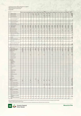 58 Manual de PiñaProyecto Especial
Pichis Palcazú
 
