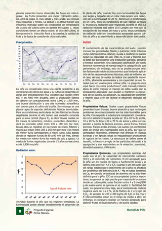 8 Manual de PiñaProyecto Especial
Pichis Palcazú
plantas presentan menor desarrollo, las hojas son más rí-
gidas; los frutos presentan una mejor coloración exter-
na, pero la pulpa es más pálida y más acida; las coronas
más pequeñas y firmes. La latitud y la altitud tienen una
influencia marcada sobre las condiciones de temperatura
de la zona de cultivo como se aprecia en cuadro 1, estas
condiciones tienen un efecto sobre: el ciclo del cultivo, el
tiempo entre la inducción floral y la cosecha, la calidad de
fruta y la época de cosecha de ciclos naturales.
Precipitación.
La piña es considerada como una planta resistente a las
condiciones de estrés por agua y su cultivo se desarrolla en
zonas con precipitaciones muy variables que oscilan entre
600 y los 4000 mm anuales, pero la producción óptima
se obtiene con precipitaciones entre 1,000 a 1,500 mm.,
una buena distribución y una alta humedad atmosférica
son buenas para el cultivo de la piña. Sin embargo es una
planta capaz de soportar deficiencias hídricas acentuadas.
Para las condiciones particulares de San Ramón las lluvias
registradas durante el año tienen una variación conocida
para la selva central (figura 5); es decir lluvias medias en
los meses de setiembre, octubre, noviembre, diciembre y
abril en promedio están entre 120 a 180 mm por mes;
lluvias altas se registran en los meses de enero, febrero y
marzo que están entre 200 a 250 mm por mes y los meses
de menor lluvia correspondes a mayo, junio, julio agosto
donde se registran lluvias de 60 a 90 mm por mes, siendo
los meses con menor lluvia los meses de julio y agosto. La
media de lluvias registradas durante 15 años consecutivos
es de 1,800 mm/año
Radiación solar.
Las regiones tropicales reciben más radiación solar apro-
la planta de piña; cuando hay poca luminosidad las hojas
son largas y delgadas de un color más oscuro, una reduc-
ción de la luminosidad de 20 % disminuye el rendimiento
en un 10%. Para las condiciones de San Ramón la figura
6, muestra la radiación solar registrada durante el año. La
radiación recibida está sobre 19.0 Langley por mes con la
excepción de los meses de mayo y junio; estas cantidades
de radiación solar son consideradas apropiadas para el cul-
tivo de piña y su crecimiento y desarrollo serán adecuados.
SUELO
El conocimiento de las características del suelo permite
conocer las propiedades físicas y químicas; tanto internas
como externas (clima, relieve), ayuda a clasificar los suelos
según su capacidad de uso; esto es, el uso y manejo que
se debe dar para obtener una producción agrícola, pecuaria
o forestal sostenible. Una adecuada clasificación del suelo
favorece recomendar el manejo según la categoría a la que
pertenecen; sin embargo, esto no es posible porque exis-
ten factores de índole socioeconómico que limitan la aplica-
ción de las recomendaciones técnicas; esto es evidente, en
el caso, del uso de suelos de ladera con pendiente mayor
a 30%, altamente erosionados y con capacidad de uso fo-
restal que son usados para cultivar piña. La pregunta está
¿qué hacer con estos productores?; este manual presenta
ideas de cómo mejorar el manejo de estos suelos con la
preparación adecuada que ayuden a mantener la estruc-
tura de los suelos, su aireación, su capacidad de transmitir
y retener agua a fin de facilitar el desarrollo radicular de
la piña.
Propiedades físicas. Suelos cuyas propiedades físicas
presenten buen drenaje, buena aireación y que no tengan
problemas de endurecimiento son los más favorables para
la piña. Con respecto a la textura la composición considera-
da como satisfactorio para la piña es: 10 a 20 % de arcilla,
10 a 20 % de limo y 60 a 70 % de arena y estos corres-
ponden a suelos de textura arenoso, arena franca, franco
arenoso, franco arcillo arenoso. Los suelos con contenidos
altos de arcilla son inapropiados para la piña, por que se
compactan fácilmente, presentan mal drenaje en épocas
lluviosas y en épocas secas se resquebrajan produciendo
la ruptura de las raíces. La estructura se define como el
tamaño, la forma y arreglo de las partículas del suelo a la
agregación y son importantes en la aireación, porosidad,
densidad aparente, infiltración.
Propiedades Químicas. Las propiedades químicas del
suelo son el pH, la capacidad de intercambio catiónico
(CIC) y el contenido de nutrientes. El pH apropiado para
la piña son los suelos de ligera a fuertemente ácida y la
óptima está entre pH 4,5 a 5,5. Cuando el pH del suelo sale
del rango establecido el crecimiento de la piña es afectada
por problemas de deficiencia de K - Mg en casos extremos
de Ca; en cambio la toxicidad de aluminio no ha sido bien
definido para la piña. CIC es otra propiedad química impor-
tante, en general es baja para la gran mayoría de los suelos
donde se cultiva piña, estas fluctúan entre 4 y 6 meq/100
g de suelos como se aprecia en el cuadro 3. Fertilidad del
suelo en general es muy baja, así el contenido de materia
orgánica varía de 1 a 2 %, el de fósforo de 2 a 5 ppm de
P2
O5
, de potasio de 220 a 280 kg/ha de K2
0; el Ca, Mg y
K intercambiables están en el rango de medio a alto; sin
embargo, es necesario realizar un manejo apropiado para
obtener frutas de buen tamaño y de buena calidad.vechable durante el año que las regiones templadas. La
luminosidad puede afectar sensiblemente el desarrollo de
 