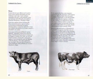 Manual Del Asador1