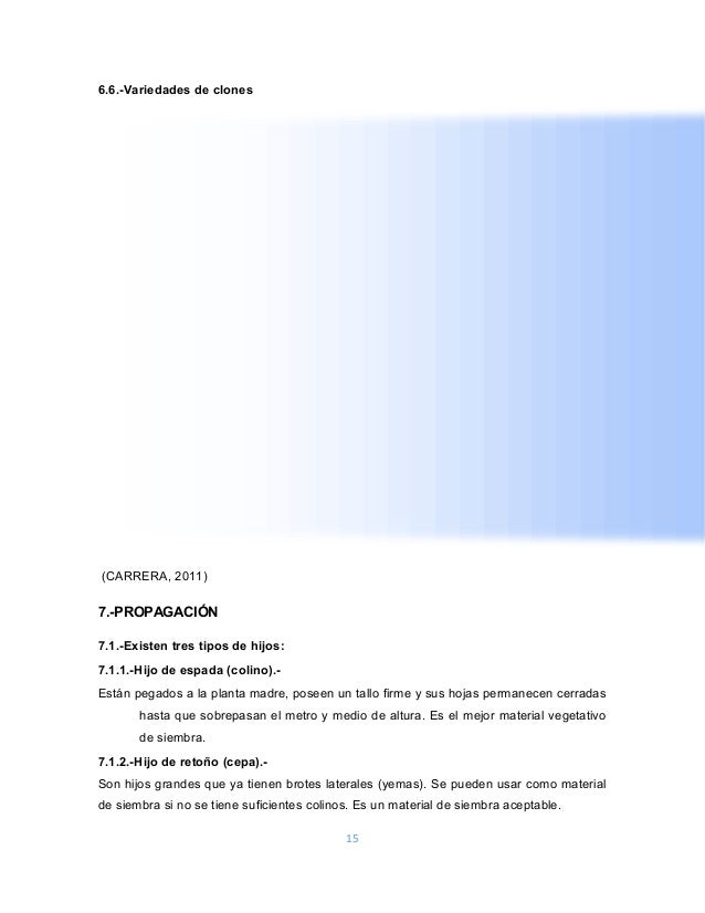 Manual Del Sistema Valery Ortiz