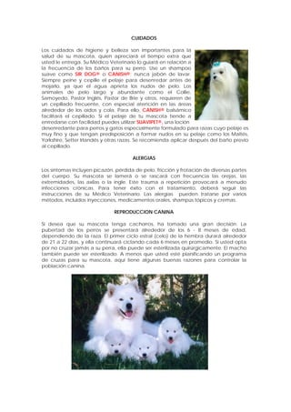 CUIDADOS
Los cuidados de higiene y belleza son importantes para la
salud de su mascota, quien apreciará el tiempo extra que
usted le entrega. Su Médico Veterinario lo guiará en relación a
la frecuencia de los baños para su perro. Use un shampoo
suave como SIR DOG® o CANISH®; nunca jabón de lavar.
Siempre peine y cepille el pelaje para desenredar antes de
mojarlo, ya que el agua aprieta los nudos de pelo. Los
animales de pelo largo y abundante como el Collie,
Samoyedo, Pastor Inglés, Pastor de Brie y otros, requieren de
un cepillado frecuente, con especial atención en las áreas
alrededor de los oídos y cola. Para ello, CANISH® balsámico
facilitará el cepillado. Si el pelaje de tu mascota tiende a
enrredarse con facilidad puedes utilizar SUAVIPET®, una loción
desenredante para perros y gatos especialmente formulado para razas cuyo pelaje es
muy fino y que tengan predisposición a formar nudos en su pelaje como los Maltés,
Yorkshire, Setter Irlandés y otras razas. Se recomienda aplicar después del baño previo
al cepillado.
ALERGIAS
Los síntomas incluyen picazón, pérdida de pelo, fricción y frotación de diversas partes
del cuerpo. Su mascota se lamerá o se rascará con frecuencia las orejas, las
extremidades, las axilas o la ingle. Este trauma a repetición provocará a menudo
infecciones crónicas. Para tener éxito con el tratamiento, deberá seguir las
instrucciones de su Médico Veterinario. Las alergias pueden tratarse por varios
métodos, incluidos inyecciones, medicamentos orales, shampús tópicos y cremas.
REPRODUCCION CANINA
Si desea que su mascota tenga cachorros, ha tomado una gran decisión. La
pubertad de los perros se presentará alrededor de los 6 - 8 meses de edad,
dependiendo de la raza. El primer ciclo estral (celo) de la hembra durará alrededor
de 21 a 22 días, y ella continuará ciclando cada 6 meses en promedio. Si usted opta
por no cruzar jamás a su perra, ella puede ser esterilizada quirúrgicamente. El macho
también puede ser esterilizado. A menos que usted esté planificando un programa
de cruzas para su mascota, aquí tiene algunas buenas razones para controlar la
población canina.
 