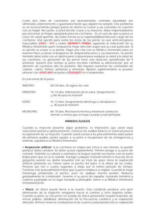 Cada año miles de cachorritos son abandonados; animales saludables son
eliminados violentamente o guardados hasta que alguien los adopte. Este problema
se va acrecentando porque perros sin dueño se cruzan y sus camadas no cuentan
con un hogar. Recuerde, si usted decide cruzar a su mascota, debe responsabilizarse
por encontrar un hogar apropiado para los cachorros. En el caso de que su perra se
cruce sin usted quererlo, de todas formas es su responsabilidad hacerse cargo de los
cachorros. Una opción para evitar los ciclos de las perras, es usar anticonceptivos
inyectables (OVO - 6®) u orales (NONPET® PERRA), siguiendo la indicación de su
Médico Veterinario quien evaluará la mejor elección según sea su caso particular. Si
su opción es cruzar a su perrita, haga una cita con su Médico Veterinario para un
examen físico y revisar el programa de desparasitaciones y vacunaciones. Su perrita
también debe estar con un óptimo peso corporal para asegurar su salud y la salud de
sus cachorros. La gestación de las perras tiene una duración aproximada de 9
semanas; durante este tiempo su perra necesita cambiar su alimentación, por un
alimento de cachorros alto en proteína. Ella requiere aumentar las cantidades de
calorías, calcio, fósforo, proteínas y vitaminas. Aportes suplementarios se pueden
obtener con JUVECAN® en polvo o DOGUIVIT® en comprimidos.
El ciclo estral de la perra:
ANESTRO 60-120 días. Sin signos de celo
PROESTRO 10 -12 días. Inflamación de la vulva. Sangramiento
¡¡¡ No Acepta la monta!!!
ESTRO 10 -12 días. Sangramiento disminuye o desaparece
¡¡¡ Acepta la monta!!!
METAESTRO 60- 70 días. Rechaza la monta y retoma la conducta
normal, a menos que se haya cruzado y esté preñada.
PRIMEROS AUXILIOS
Cuando su mascota presente algún problema, es importante que usted sepa
reaccionar pronta y oportunamente. Conocer los auxilios básicos es esencial para la
recuperación de su mascota. Cuando usted conozca los procedimientos adecuados
de primeros auxilios, podrá ayudar a su perro a recuperarse de las emergencias y
además, ayudará a su Médico Veterinario.
• Respiración artificial: Si su cachorro no respira por cinco a seis minutos, se puede
producir daño cerebral. Se debe actuar rápidamente. Primero ponga a su perro de
costado. Extienda su cabeza y exteriorice la lengua usando sus manos con un paño
limpio para que no se le resbale. Extraiga cualquier material extraño o mucoso de la
garganta usando sus dedos envueltos con un trozo de gasa. Inicie la respiración
artificial poniendo sus manos sobre el pecho del perro a la altura de los codos.
Presione por tres a cuatro segundos y relaje por el mismo período de tiempo.
Continúe este procedimiento hasta que su perro empiece a respirar. Cuando lo haga
mantenga presionado el pecho, pero no aplique mucha presión. Reduzca
gradualmente la compresión. Levante a su perro de espalda, tomando hombros y
caderas y póngalo en un lugar tranquilo y protegido. Llame a su Médico Veterinario
inmediatamente.
• Shock: Un shock puede llevar a la muerte. Esta condición produce una gran
disminución de la irrigación sanguínea hacia el cerebro y otros órganos vitales.
Cuando su perro se encuentre en estado de shock presentará el pulso reducido, las
encías pálidas, debilidad, disminución de la frecuencia cardiaca y la respiración
alterada. Primero revise la cavidad bucal de su perro (usted podría hacer respiración
 