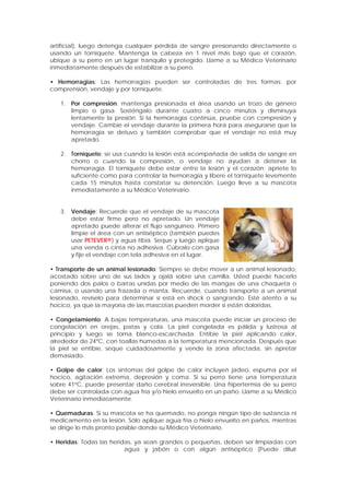 artificial), luego detenga cualquier pérdida de sangre presionando directamente o
usando un torniquete. Mantenga la cabeza en 1 nivel más bajo que el corazón,
ubique a su perro en un lugar tranquilo y protegido. Llame a su Médico Veterinario
inmediatamente después de estabilizar a su perro.
• Hemorragias: Las hemorragias pueden ser controladas de tres formas: por
comprensión, vendaje y por torniquete.
1. Por compresión: mantenga presionada el área usando un trozo de género
limpio o gasa. Sosténgalo durante cuatro a cinco minutos y disminuya
lentamente la presión. Si la hemorragia continúa, pruebe con compresión y
vendaje. Cambie el vendaje durante la primera hora para asegurarse que la
hemorragia se detuvo y también comprobar que el vendaje no está muy
apretado.
2. Torniquete: se usa cuando la lesión está acompañada de salida de sangre en
chorro o cuando la compresión, o vendaje no ayudan a detener la
hemorragia. El torniquete debe estar entre la lesión y el corazón; apriete lo
suficiente como para controlar la hemorragia y libere el torniquete levemente
cada 15 minutos hasta constatar su detención. Luego lleve a su mascota
inmediatamente a su Médico Veterinario.
3. Vendaje: Recuerde que el vendaje de su mascota
debe estar firme pero no apretado. Un vendaje
apretado puede alterar el flujo sanguíneo. Primero
limpie el área con un antiséptico (también puedes
usar PETEVER®) y agua tibia. Seque y luego aplique
una venda o cinta no adhesiva. Cúbralo con gasa
y fije el vendaje con tela adhesiva en el lugar.
• Transporte de un animal lesionado: Siempre se debe mover a un animal lesionado,
acostado sobre uno de sus lados y ojalá sobre una camilla. Usted puede hacerlo
poniendo dos palos o barras unidas por medio de las mangas de una chaqueta o
camisa, o usando una frazada o manta. Recuerde, cuando transporte a un animal
lesionado, revíselo para determinar si está en shock o sangrando. Esté atento a su
hocico, ya que la mayoría de las mascotas pueden morder si están doloridas.
• Congelamiento: A bajas temperaturas, una mascota puede iniciar un proceso de
congelación en orejas, patas y cola. La piel congelada es pálida y lustrosa al
principio y luego se torna blanco-escarchada. Entibie la piel aplicando calor,
alrededor de 24ºC, con toallas húmedas a la temperatura mencionada. Después que
la piel se entibie, seque cuidadosamente y vende la zona afectada, sin apretar
demasiado.
• Golpe de calor: Los síntomas del golpe de calor incluyen jadeo, espuma por el
hocico, agitación extrema, depresión y coma. Si su perro tiene una temperatura
sobre 41ºC, puede presentar daño cerebral irreversible. Una hipertermia de su perro
debe ser controlada con agua fría y/o hielo envuelto en un paño. Llame a su Médico
Veterinario inmediatamente.
• Quemaduras: Si su mascota se ha quemado, no ponga ningún tipo de sustancia ni
medicamento en la lesión. Sólo aplique agua fría o hielo envuelto en paños, mientras
se dirige lo más pronto posible donde su Médico Veterinario.
• Heridas: Todas las heridas, ya sean grandes o pequeñas, deben ser limpiadas con
agua y jabón o con algún antiséptico (Puede diluir
 