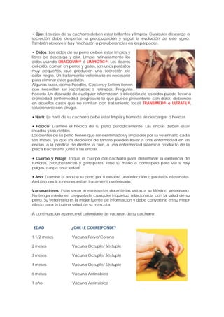 • Ojos: Los ojos de su cachorro deben estar brillantes y limpios. Cualquier descarga o
secreción debe despertar su preocupación y seguir la evolución de este signo.
También observe si hay hinchazón o protuberancias en los párpados.
• Oídos: Los oídos de su perro deben estar limpios y
libres de descarga y olor. Limpie rutinariamente los
oídos usando DRAGOVIN® ó LIMPIOTIC®. Los ácaros
del oído, común en perros y gatos, son unos parásitos
muy pequeños, que producen una secreción de
color negro. Un tratamiento veterinario es necesario
para eliminar estos parásitos.
Algunas razas, como Poodles, Cockers y Setters tienen pelos en el conducto del oído,
que necesitan ser recortados o retirados. Pregunte a su veterinario como debe
hacerlo. Un descuido de cualquier inflamación o infección de los oídos puede llevar a
cronicidad (enfermedad progresiva) la que puede presentarse con dolor, debiendo
en aquellos casos que no remitan con tratamiento local, TRANSIMED® o ULTRAFIL®,
solucionarse con cirugía.
• Nariz: La nariz de su cachorro debe estar limpia y húmeda sin descargas o heridas.
• Hocico: Examine el hocico de su perro periódicamente. Las encías deben estar
rosadas y saludables.
Los dientes de su perro tienen que ser examinados y limpiados por su veterinario cada
seis meses, ya que los depósitos de tártaro pueden llevar a una enfermedad en las
encías, a la pérdida de dientes, o bien, a una enfermedad sistémica producto de la
placa bacteriana junto a las encías.
• Cuerpo y Pelaje: Toque el cuerpo del cachorro para determinar la existencia de
tumores, protuberancias y garrapatas. Pase su mano a contrapelo para ver si hay
pulgas, caspa o suciedad.
• Ano: Examine el ano de su perro por si existiera una infección o parásitos intestinales.
Ambas condiciones necesitan tratamiento veterinario.
Vacunaciones: Estas serán administradas durante las visitas a su Médico Veterinario.
No tenga miedo en preguntarle cualquier inquietud relacionada con la salud de su
perro. Su veterinario es la mejor fuente de información y debe convertirse en su mejor
aliado para la buena salud de su mascota.
A continuación aparece el calendario de vacunas de tu cachorro:
EDAD ¿QUE LE CORRESPONDE?
1 1/2 meses Vacuna Parvo/Corona
2 meses Vacuna Octuple/ Séxtuple
3 meses Vacuna Octuple/ Séxtuple
4 meses Vacuna Octuple/ Séxtuple
6 meses Vacuna Antirrábica
1 año Vacuna Antirrábica
 