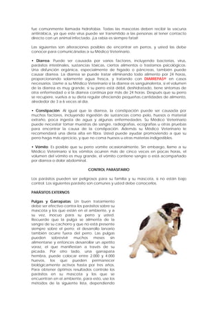 fue comúnmente llamada hidrofobia. Todas las mascotas deben recibir la vacuna
antirrábica, ya que este virus puede ser transmitido a las personas al tener contacto
directo con un animal infectado. ¡La rabia es siempre fatal!
Las siguientes son alteraciones posibles de encontrar en perros, y usted las debe
conocer para comunicárselas a su Médico Veterinario.
• Diarrea: Puede ser causada por varios factores, incluyendo bacterias, virus,
parásitos intestinales, sustancias tóxicas, ciertos alimentos o trastornos psicológicos.
Una disfunción orgánica, especialmente de hígado o páncreas, también puede
causar diarrea. La diarrea se puede tratar eliminando todo alimento por 24 horas,
proporcionando solamente agua fresca, y tratando con DIARREPAS® en casos
necesarios. Llame a su Médico Veterinario si la diarrea es sanguinolenta, si el volumen
de la diarrea es muy grande, si su perro está débil, deshidratado, tiene síntomas de
otra enfermedad o si la diarrea continúa por más de 24 horas. Después que su perro
se recupere, vuelva a su dieta regular ofreciendo pequeñas cantidades de alimento,
alrededor de 3 a 6 veces al día.
• Constipación: Al igual que la diarrea, la constipación puede ser causada por
muchos factores, incluyendo ingestión de sustancias como pelo, huesos o material
extraño, poca ingesta de agua y algunas enfermedades. Su Médico Veterinario
puede necesitar tomar muestras de sangre, radiografías, ecografías u otras pruebas
para encontrar la causa de la constipación. Además su Médico Veterinario le
recomendará una dieta alta en fibra. Usted puede ayudar promoviendo a que su
perro haga más ejercicio, y que no coma huesos u otras materias indigestibles.
• Vómito: Es posible que su perro vomite ocasionalmente. Sin embargo, llame a su
Médico Veterinario si los vómitos ocurren más de cinco veces en pocas horas, el
volumen del vómito es muy grande, el vómito contiene sangre o está acompañado
por diarrea o dolor abdominal.
CONTROL PARASITARIO
Los parásitos pueden ser peligrosos para su familia y su mascota, si no están bajo
control. Los siguientes parásito son comunes y usted debe conocerlos.
PARÁSITOS EXTERNOS
Pulgas y Garrapatas: Un buen tratamiento
debe ser efectivo contra los parásitos sobre su
mascota y los que están en el ambiente, y a
su vez, inocuo para su perro y usted.
Recuerde que la pulga se alimenta de la
sangre de su cachorro y que no está presente
siempre sobre el perro; el desarrollo larvario
también ocurre fuera del perro. Las pulgas
pueden sobrevivir muchos meses sin
alimentarse y entonces desarrollar un apetito
voraz, el que manifiestan a través de su
picada. Por otro lado, una garrapata
hembra, puede colocar entre 2.000 y 4.000
huevos, los que pueden permanecer
biológicamente activos hasta por tres años.
Para obtener óptimos resultados controle los
parásitos en su mascota y los que se
encuentran en el ambiente, para esto, use los
métodos de la siguiente lista, dependiendo
 