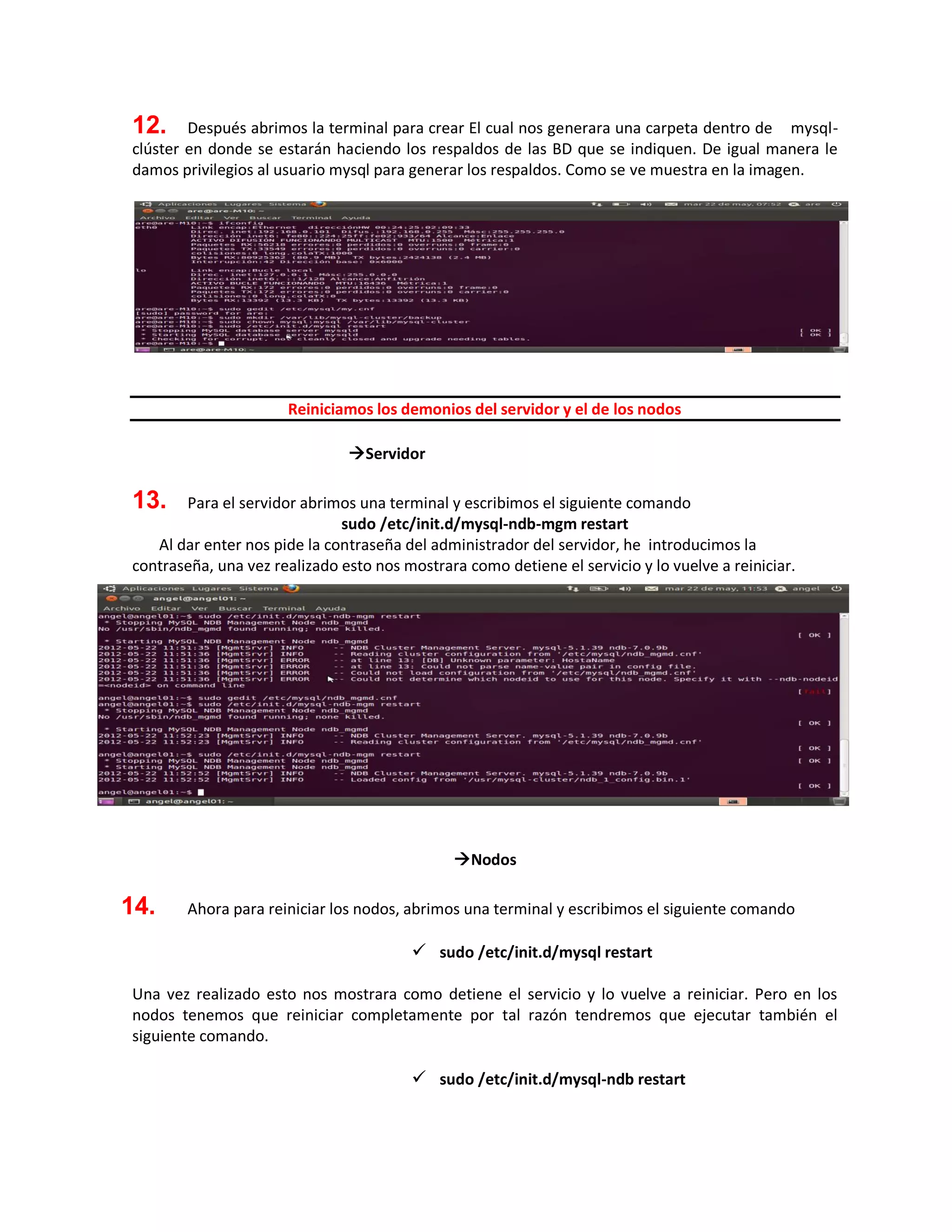 12. Después abrimos la terminal para crear El cual nos generara una carpeta dentro de mysql-
clúster en donde se estarán haciendo los respaldos de las BD que se indiquen. De igual manera le
damos privilegios al usuario mysql para generar los respaldos. Como se ve muestra en la imagen.
Reiniciamos los demonios del servidor y el de los nodos
Servidor
13. Para el servidor abrimos una terminal y escribimos el siguiente comando
sudo /etc/init.d/mysql-ndb-mgm restart
Al dar enter nos pide la contraseña del administrador del servidor, he introducimos la
contraseña, una vez realizado esto nos mostrara como detiene el servicio y lo vuelve a reiniciar.
Nodos
14. Ahora para reiniciar los nodos, abrimos una terminal y escribimos el siguiente comando
 sudo /etc/init.d/mysql restart
Una vez realizado esto nos mostrara como detiene el servicio y lo vuelve a reiniciar. Pero en los
nodos tenemos que reiniciar completamente por tal razón tendremos que ejecutar también el
siguiente comando.
 sudo /etc/init.d/mysql-ndb restart
 