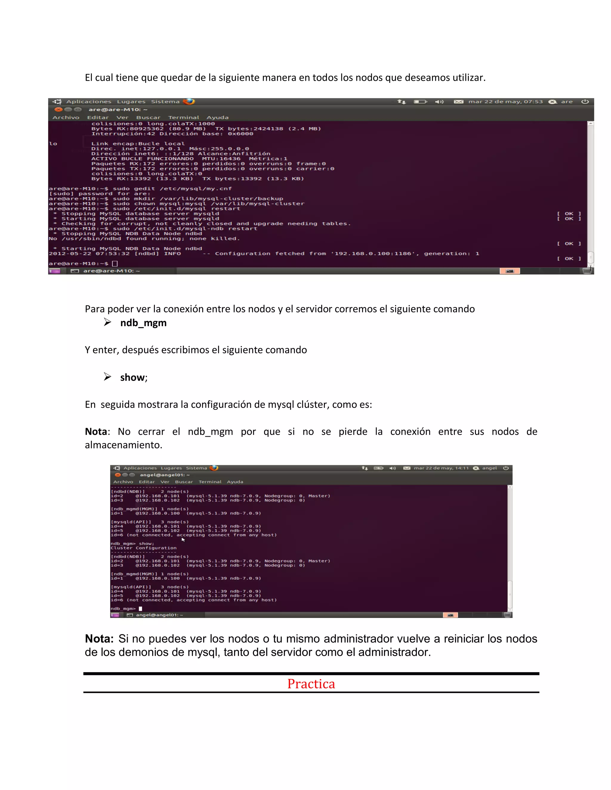 El cual tiene que quedar de la siguiente manera en todos los nodos que deseamos utilizar.
Para poder ver la conexión entre los nodos y el servidor corremos el siguiente comando
 ndb_mgm
Y enter, después escribimos el siguiente comando
 show;
En seguida mostrara la configuración de mysql clúster, como es:
Nota: No cerrar el ndb_mgm por que si no se pierde la conexión entre sus nodos de
almacenamiento.
Nota: Si no puedes ver los nodos o tu mismo administrador vuelve a reiniciar los nodos
de los demonios de mysql, tanto del servidor como el administrador.
Practica
 