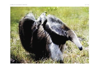 15Cartilha de Licenciamento Ambiental
n
n
 