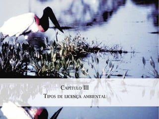 CAPÍTULO III
TIPOS DE LICENÇA AMBIENTAL
 