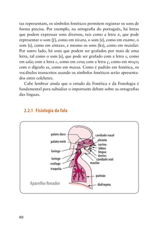 60
tas representam, os símbolos fonéticos permitem registrar os sons de
forma precisa. Por exemplo, na ortografia do português, há letras
que podem expressar sons diversos, tais como a letra x, que pode
representar o som [], como em xícara, o som [z], como em exame, o
som [s], como em sintaxe, e mesmo os sons [ks], como em maxilar.
Por outro lado, há sons que podem ser grafados por mais de uma
letra, tal como o som [s], que pode ser grafado com a letra s, como
em sala; com a letra c, como em cera; com a letra ç, como em moço;
com o dígrafo ss, como em massa. Como é padrão em fonética, os
vocábulos transcritos usando os símbolos fonéticos serão apresenta-
dos entre colchetes.
Cabe lembrar ainda que o estudo da Fonética e da Fonologia é
fundamental para subsidiar o importante debate sobre as ortografias
das línguas.
2.2.1	 Fisiologia da fala
 