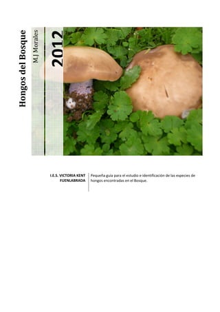 Hongos del Bosque



                                   2012
                    M.J Morales




                                  I.E.S. VICTORIA KENT   Pequeña guía para el estudio e identificación de las especies de
                                         FUENLABRADA     hongos encontradas en el Bosque.
 