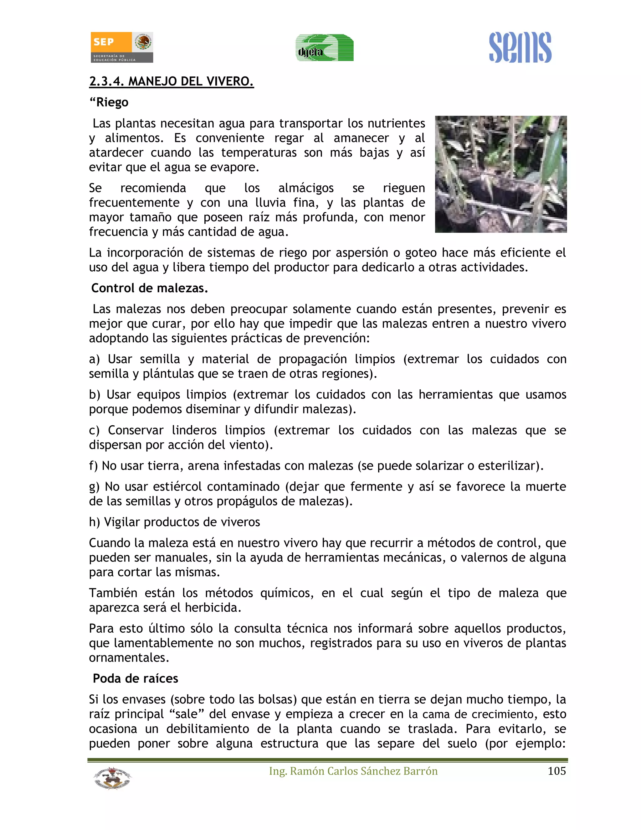 2.3.4. MANEJO DEL VIVERO. 
“Riego 
Las plantas necesitan agua para transportar los nutrientes 
y alimentos. Es conveniente regar al amanecer y al 
atardecer cuando las temperaturas son más bajas y así 
evitar que el agua se evapore. 
Se recomienda que los almácigos se rieguen 
frecuentemente y con una lluvia fina, y las plantas de 
mayor tamaño que poseen raíz más profunda, con menor 
frecuencia y más cantidad de agua. 
La incorporación de sistemas de riego por aspersión o goteo hace más eficiente el 
uso del agua y libera tiempo del productor para dedicarlo a otras actividades. 
Control de malezas. 
Las malezas nos deben preocupar solamente cuando están presentes, prevenir es 
mejor que curar, por ello hay que impedir que las malezas entren a nuestro vivero 
adoptando las siguientes prácticas de prevención: 
a) Usar semilla y material de propagación limpios (extremar los cuidados con 
semilla y plántulas que se traen de otras regiones). 
b) Usar equipos limpios (extremar los cuidados con las herramientas que usamos 
porque podemos diseminar y difundir malezas). 
c) Conservar linderos limpios (extremar los cuidados con las malezas que se 
dispersan por acción del viento). 
f) No usar tierra, arena infestadas con malezas (se puede solarizar o esterilizar). 
g) No usar estiércol contaminado (dejar que fermente y así se favorece la muerte 
de las semillas y otros propágulos de malezas). 
h) Vigilar productos de viveros 
Cuando la maleza está en nuestro vivero hay que recurrir a métodos de control, que 
pueden ser manuales, sin la ayuda de herramientas mecánicas, o valernos de alguna 
para cortar las mismas. 
También están los métodos químicos, en el cual según el tipo de maleza que 
aparezca será el herbicida. 
Para esto último sólo la consulta técnica nos informará sobre aquellos productos, 
que lamentablemente no son muchos, registrados para su uso en viveros de plantas 
ornamentales. 
Poda de raíces 
Si los envases (sobre todo las bolsas) que están en tierra se dejan mucho tiempo, la 
raíz principal “sale” del envase y empieza a crecer en la cama de crecimiento, esto 
ocasiona un debilitamiento de la planta cuando se traslada. Para evitarlo, se 
pueden poner sobre alguna estructura que las separe del suelo (por ejemplo: 
Ing. Ramón Carlos Sánchez Barrón 105 
 