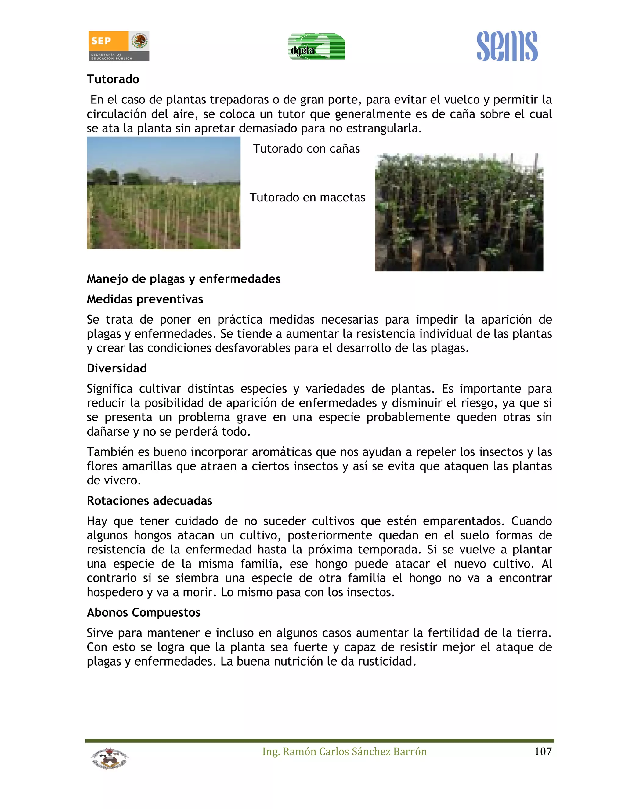 Tutorado 
En el caso de plantas trepadoras o de gran porte, para evitar el vuelco y permitir la 
circulación del aire, se coloca un tutor que generalmente es de caña sobre el cual 
se ata la planta sin apretar demasiado para no estrangularla. 
Tutorado con cañas 
Tutorado en macetas 
Manejo de plagas y enfermedades 
Medidas preventivas 
Se trata de poner en práctica medidas necesarias para impedir la aparición de 
plagas y enfermedades. Se tiende a aumentar la resistencia individual de las plantas 
y crear las condiciones desfavorables para el desarrollo de las plagas. 
Diversidad 
Significa cultivar distintas especies y variedades de plantas. Es importante para 
reducir la posibilidad de aparición de enfermedades y disminuir el riesgo, ya que si 
se presenta un problema grave en una especie probablemente queden otras sin 
dañarse y no se perderá todo. 
También es bueno incorporar aromáticas que nos ayudan a repeler los insectos y las 
flores amarillas que atraen a ciertos insectos y así se evita que ataquen las plantas 
de vivero. 
Rotaciones adecuadas 
Hay que tener cuidado de no suceder cultivos que estén emparentados. Cuando 
algunos hongos atacan un cultivo, posteriormente quedan en el suelo formas de 
resistencia de la enfermedad hasta la próxima temporada. Si se vuelve a plantar 
una especie de la misma familia, ese hongo puede atacar el nuevo cultivo. Al 
contrario si se siembra una especie de otra familia el hongo no va a encontrar 
hospedero y va a morir. Lo mismo pasa con los insectos. 
Abonos Compuestos 
Sirve para mantener e incluso en algunos casos aumentar la fertilidad de la tierra. 
Con esto se logra que la planta sea fuerte y capaz de resistir mejor el ataque de 
plagas y enfermedades. La buena nutrición le da rusticidad. 
Ing. Ramón Carlos Sánchez Barrón 107 
 