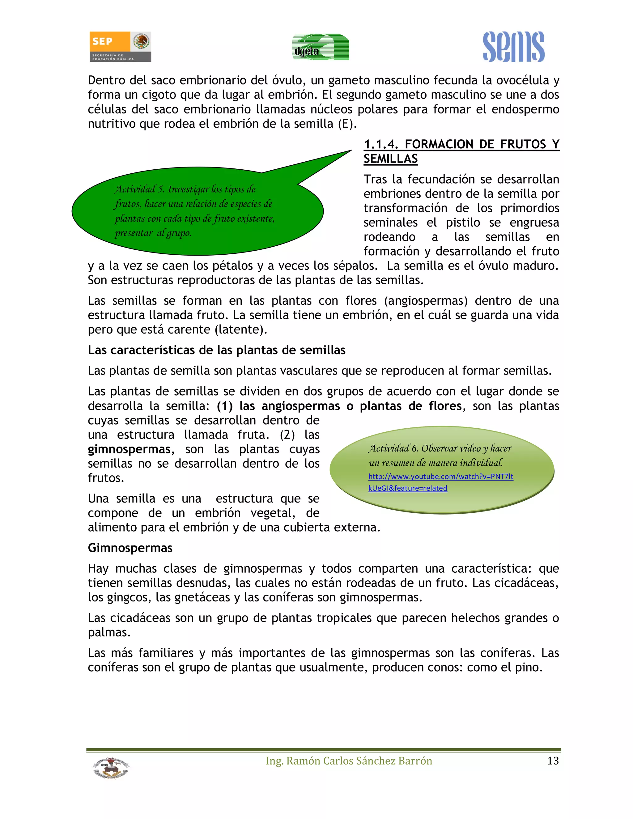 Dentro del saco embrionario del óvulo, un gameto masculino fecunda la ovocélula y 
forma un cigoto que da lugar al embrión. El segundo gameto masculino se une a dos 
células del saco embrionario llamadas núcleos polares para formar el endospermo 
nutritivo que rodea el embrión de la semilla (E). 
1.1.4. FORMACION DE FRUTOS Y 
SEMILLAS 
Tras la fecundación se desarrollan 
embriones dentro de la semilla por 
transformación de los primordios 
seminales el pistilo se engruesa 
rodeando a las semillas en 
formación y desarrollando el fruto 
Actividad 5. Investigar los tipos de 
frutos, hacer una relación de especies de 
plantas con cada tipo de fruto existente, 
presentar al grupo. 
y a la vez se caen los pétalos y a veces los sépalos. La semilla es el óvulo maduro. 
Son estructuras reproductoras de las plantas de las semillas. 
Las semillas se forman en las plantas con flores (angiospermas) dentro de una 
estructura llamada fruto. La semilla tiene un embrión, en el cuál se guarda una vida 
pero que está carente (latente). 
Las características de las plantas de semillas 
Las plantas de semilla son plantas vasculares que se reproducen al formar semillas. 
Las plantas de semillas se dividen en dos grupos de acuerdo con el lugar donde se 
desarrolla la semilla: (1) las angiospermas o plantas de flores, son las plantas 
cuyas semillas se desarrollan dentro de 
una estructura llamada fruta. (2) las 
gimnospermas, son las plantas cuyas 
Actividad 6. Observar video y hacer 
semillas no se desarrollan dentro de los 
un resumen de manera individual. 
frutos. 
http://www.youtube.com/watch?v=PNT7lt 
kUeGI&feature=related 
Una semilla es una estructura que se 
compone de un embrión vegetal, de 
alimento para el embrión y de una cubierta externa. 
Gimnospermas 
Hay muchas clases de gimnospermas y todos comparten una característica: que 
tienen semillas desnudas, las cuales no están rodeadas de un fruto. Las cicadáceas, 
los gingcos, las gnetáceas y las coníferas son gimnospermas. 
Las cicadáceas son un grupo de plantas tropicales que parecen helechos grandes o 
palmas. 
Las más familiares y más importantes de las gimnospermas son las coníferas. Las 
coníferas son el grupo de plantas que usualmente, producen conos: como el pino. 
Ing. Ramón Carlos Sánchez Barrón 13 
 