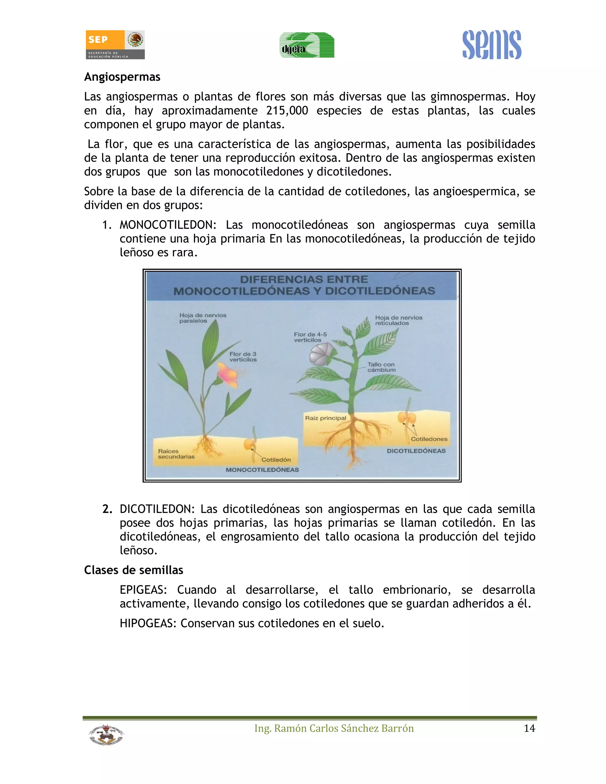 Angiospermas 
Las angiospermas o plantas de flores son más diversas que las gimnospermas. Hoy 
en día, hay aproximadamente 215,000 especies de estas plantas, las cuales 
componen el grupo mayor de plantas. 
La flor, que es una característica de las angiospermas, aumenta las posibilidades 
de la planta de tener una reproducción exitosa. Dentro de las angiospermas existen 
dos grupos que son las monocotiledones y dicotiledones. 
Sobre la base de la diferencia de la cantidad de cotiledones, las angioespermica, se 
dividen en dos grupos: 
1. MONOCOTILEDON: Las monocotiledóneas son angiospermas cuya semilla 
contiene una hoja primaria En las monocotiledóneas, la producción de tejido 
leñoso es rara. 
2. DICOTILEDON: Las dicotiledóneas son angiospermas en las que cada semilla 
posee dos hojas primarias, las hojas primarias se llaman cotiledón. En las 
dicotiledóneas, el engrosamiento del tallo ocasiona la producción del tejido 
leñoso. 
Ing. Ramón Carlos Sánchez Barrón 14 
Clases de semillas 
EPIGEAS: Cuando al desarrollarse, el tallo embrionario, se desarrolla 
activamente, llevando consigo los cotiledones que se guardan adheridos a él. 
HIPOGEAS: Conservan sus cotiledones en el suelo. 
 