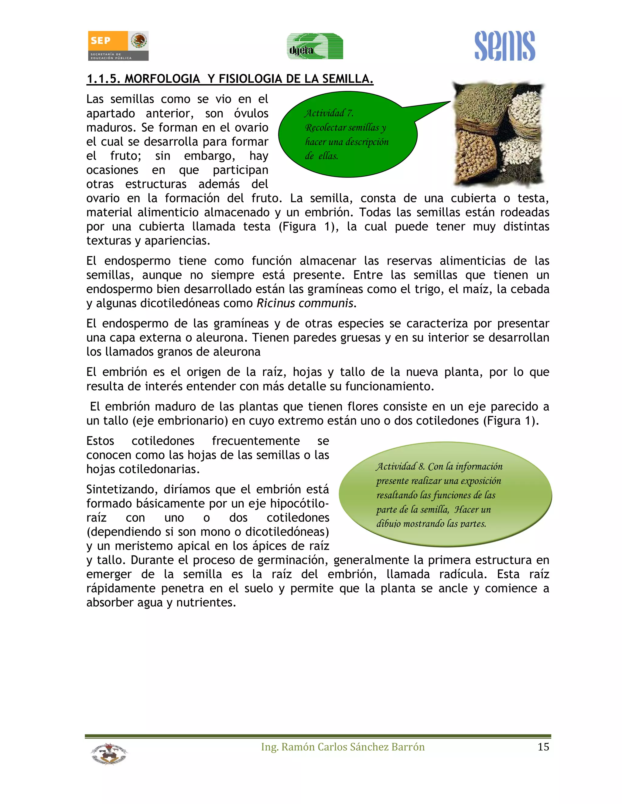 1.1.5. MORFOLOGIA Y FISIOLOGIA DE LA SEMILLA. 
Las semillas como se vio en el 
apartado anterior, son óvulos 
Actividad 7. 
maduros. Se forman en el ovario 
Recolectar semillas y 
el cual se desarrolla para formar 
hacer una descripción 
el fruto; sin embargo, hay 
de ellas. 
ocasiones en que participan 
otras estructuras además del 
ovario en la formación del fruto. La semilla, consta de una cubierta o testa, 
material alimenticio almacenado y un embrión. Todas las semillas están rodeadas 
por una cubierta llamada testa (Figura 1), la cual puede tener muy distintas 
texturas y apariencias. 
El endospermo tiene como función almacenar las reservas alimenticias de las 
semillas, aunque no siempre está presente. Entre las semillas que tienen un 
endospermo bien desarrollado están las gramíneas como el trigo, el maíz, la cebada 
y algunas dicotiledóneas como Ricinus communis. 
El endospermo de las gramíneas y de otras especies se caracteriza por presentar 
una capa externa o aleurona. Tienen paredes gruesas y en su interior se desarrollan 
los llamados granos de aleurona 
El embrión es el origen de la raíz, hojas y tallo de la nueva planta, por lo que 
resulta de interés entender con más detalle su funcionamiento. 
El embrión maduro de las plantas que tienen flores consiste en un eje parecido a 
un tallo (eje embrionario) en cuyo extremo están uno o dos cotiledones (Figura 1). 
Estos cotiledones frecuentemente se 
conocen como las hojas de las semillas o las 
hojas cotiledonarias. 
Sintetizando, diríamos que el embrión está 
formado básicamente por un eje hipocótilo-raíz 
con uno o dos cotiledones 
Actividad 8. Con la información 
presente realizar una exposición 
resaltando las funciones de las 
parte de la semilla, Hacer un 
dibujo mostrando las partes. 
(dependiendo si son mono o dicotiledóneas) 
y un meristemo apical en los ápices de raíz 
y tallo. Durante el proceso de germinación, generalmente la primera estructura en 
emerger de la semilla es la raíz del embrión, llamada radícula. Esta raíz 
rápidamente penetra en el suelo y permite que la planta se ancle y comience a 
absorber agua y nutrientes. 
Ing. Ramón Carlos Sánchez Barrón 15 
 
