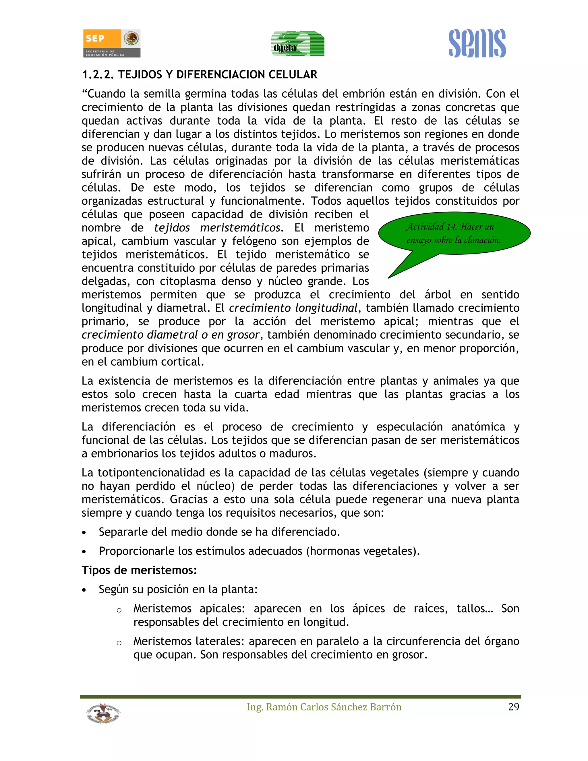 1.2.2. TEJIDOS Y DIFERENCIACION CELULAR 
“Cuando la semilla germina todas las células del embrión están en división. Con el 
crecimiento de la planta las divisiones quedan restringidas a zonas concretas que 
quedan activas durante toda la vida de la planta. El resto de las células se 
diferencian y dan lugar a los distintos tejidos. Lo meristemos son regiones en donde 
se producen nuevas células, durante toda la vida de la planta, a través de procesos 
de división. Las células originadas por la división de las células meristemáticas 
sufrirán un proceso de diferenciación hasta transformarse en diferentes tipos de 
células. De este modo, los tejidos se diferencian como grupos de células 
organizadas estructural y funcionalmente. Todos aquellos tejidos constituidos por 
células que poseen capacidad de división reciben el 
nombre de tejidos meristemáticos. El meristemo 
apical, cambium vascular y felógeno son ejemplos de 
tejidos meristemáticos. El tejido meristemático se 
encuentra constituido por células de paredes primarias 
delgadas, con citoplasma denso y núcleo grande. Los 
meristemos permiten que se produzca el crecimiento del árbol en sentido 
longitudinal y diametral. El crecimiento longitudinal, también llamado crecimiento 
primario, se produce por la acción del meristemo apical; mientras que el 
crecimiento diametral o en grosor, también denominado crecimiento secundario, se 
produce por divisiones que ocurren en el cambium vascular y, en menor proporción, 
en el cambium cortical. 
La existencia de meristemos es la diferenciación entre plantas y animales ya que 
estos solo crecen hasta la cuarta edad mientras que las plantas gracias a los 
meristemos crecen toda su vida. 
La diferenciación es el proceso de crecimiento y especulación anatómica y 
funcional de las células. Los tejidos que se diferencian pasan de ser meristemáticos 
a embrionarios los tejidos adultos o maduros. 
La totipontencionalidad es la capacidad de las células vegetales (siempre y cuando 
no hayan perdido el núcleo) de perder todas las diferenciaciones y volver a ser 
meristemáticos. Gracias a esto una sola célula puede regenerar una nueva planta 
siempre y cuando tenga los requisitos necesarios, que son: 
• Separarle del medio donde se ha diferenciado. 
Actividad 14. Hacer un 
ensayo sobre la clonación. 
• Proporcionarle los estímulos adecuados (hormonas vegetales). 
Tipos de meristemos: 
• Según su posición en la planta: 
o Meristemos apicales: aparecen en los ápices de raíces, tallos… Son 
responsables del crecimiento en longitud. 
o Meristemos laterales: aparecen en paralelo a la circunferencia del órgano 
que ocupan. Son responsables del crecimiento en grosor. 
Ing. Ramón Carlos Sánchez Barrón 29 
 