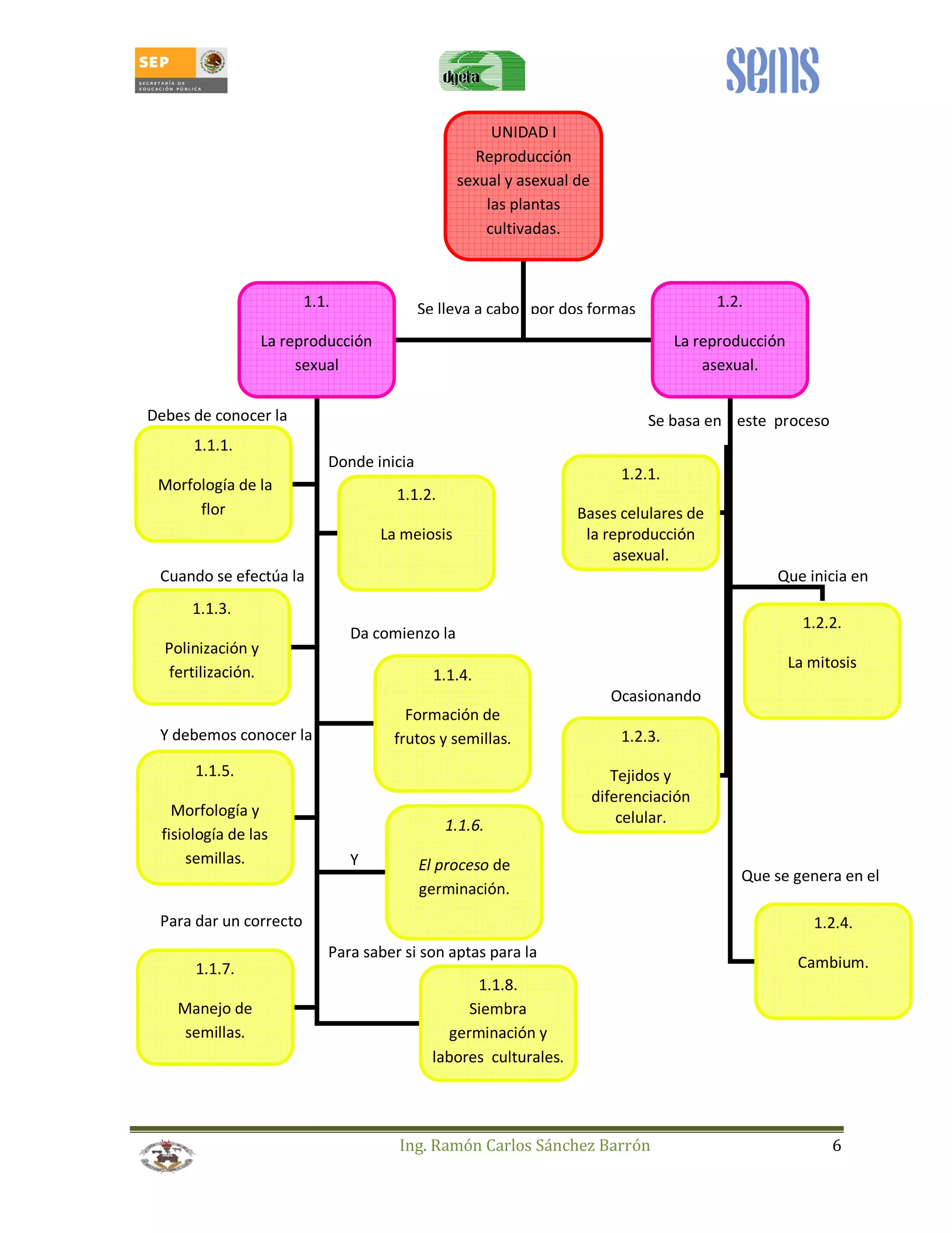 UNIDAD I 
Reproducción 
sexual y asexual de 
las plantas 
cultivadas. 
Se lleva a cabo por dos formas 
Se basa en Debes de conocer la este proceso 
Ing. Ramón Carlos Sánchez Barrón 6 
1.1. 
La reproducción 
sexual 
1.2. 
La reproducción 
asexual. 
1.1.1. 
Morfología de la 
flor 
1.1.2. 
La meiosis 
1.1.3. 
Polinización y 
fertilización. 1.1.4. 
Formación de 
frutos y semillas. 
1.1.5. 
Morfología y 
fisiología de las 
semillas. 
1.1.6. 
El proceso de 
germinación. 
1.1.7. 
Manejo de 
semillas. 
1.1.8. 
Siembra 
germinación y 
labores culturales. 
1.2.1. 
Bases celulares de 
la reproducción 
asexual. 
1.2.2. 
La mitosis 
1.2.3. 
Tejidos y 
diferenciación 
celular. 
1.2.4. 
Cambium. 
Donde inicia 
Que inicia en 
Ocasionando 
Que se genera en el 
Cuando se efectúa la 
Da comienzo la 
Y debemos conocer la 
Y 
Para dar un correcto 
Para saber si son aptas para la 
 