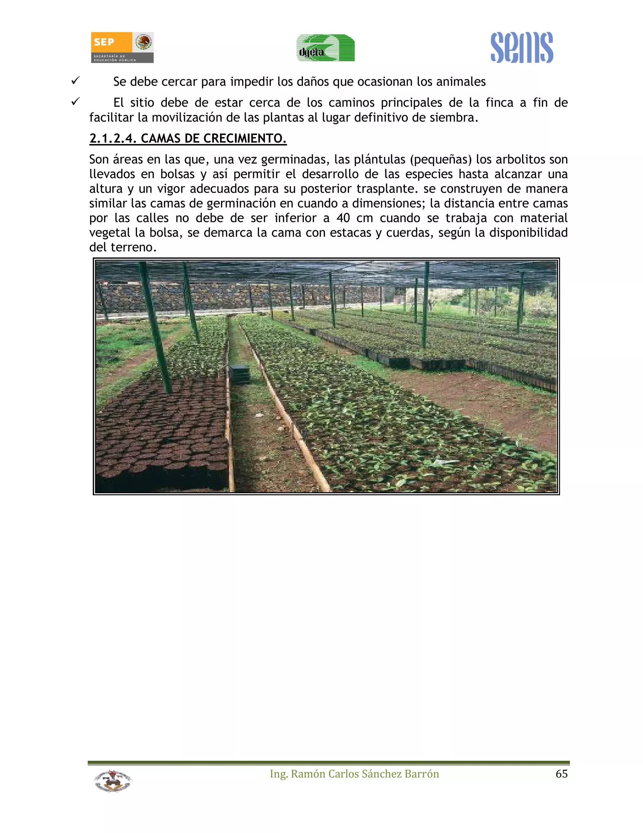 Se debe cercar para impedir los daños que ocasionan los animales 
 El sitio debe de estar cerca de los caminos principales de la finca a fin de 
facilitar la movilización de las plantas al lugar definitivo de siembra. 
2.1.2.4. CAMAS DE CRECIMIENTO. 
Son áreas en las que, una vez germinadas, las plántulas (pequeñas) los arbolitos son 
llevados en bolsas y así permitir el desarrollo de las especies hasta alcanzar una 
altura y un vigor adecuados para su posterior trasplante. se construyen de manera 
similar las camas de germinación en cuando a dimensiones; la distancia entre camas 
por las calles no debe de ser inferior a 40 cm cuando se trabaja con material 
vegetal la bolsa, se demarca la cama con estacas y cuerdas, según la disponibilidad 
del terreno. 
Ing. Ramón Carlos Sánchez Barrón 65 
 