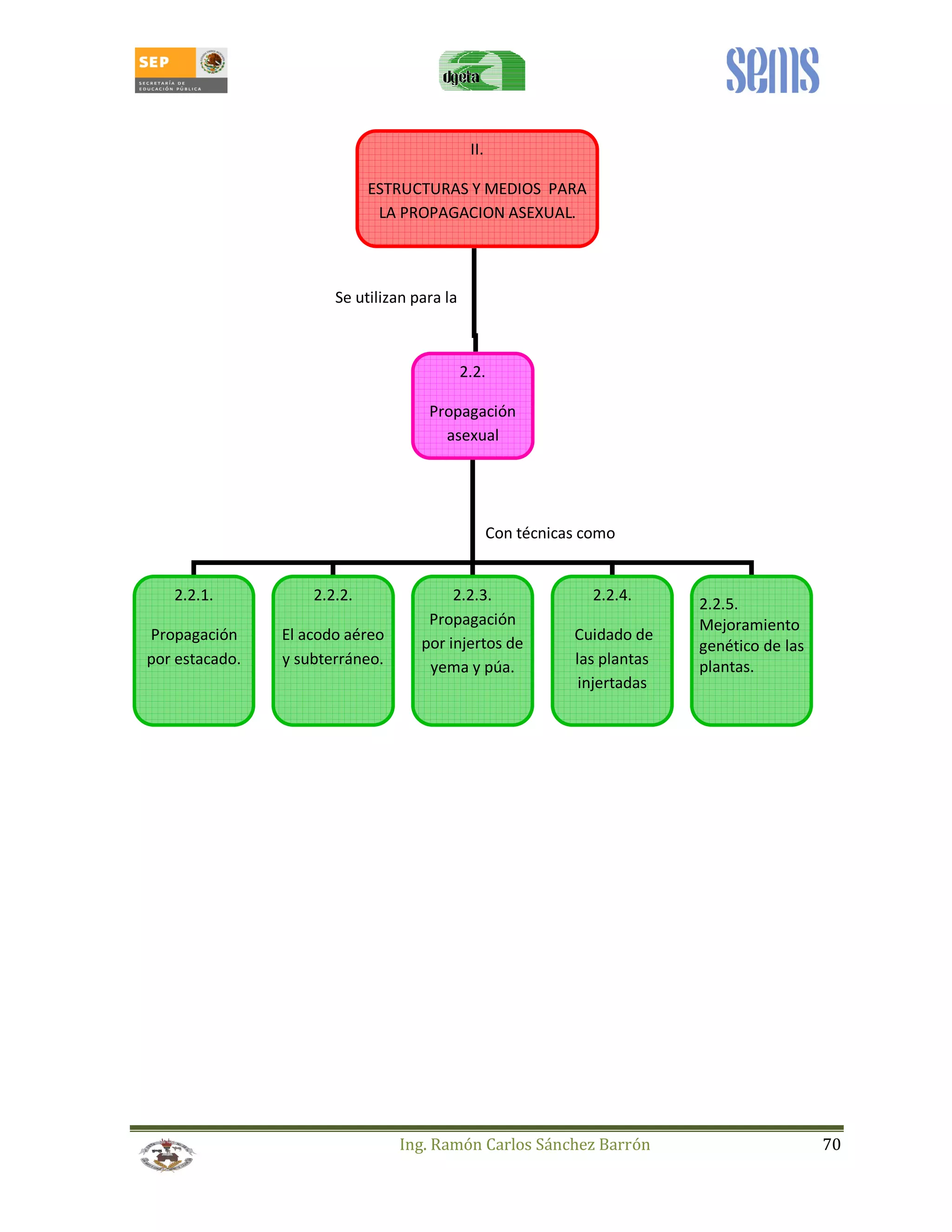 II. 
ESTRUCTURAS Y MEDIOS PARA 
LA PROPAGACION ASEXUAL. 
2.2. 
Propagación 
asexual 
Ing. Ramón Carlos Sánchez Barrón 70 
2.2.1. 
Propagación 
por estacado. 
2.2.2. 
El acodo aéreo 
y subterráneo. 
2.2.3. 
Propagación 
por injertos de 
yema y púa. 
2.2.4. 
Cuidado de 
las plantas 
injertadas 
2.2.5. 
Mejoramiento 
genético de las 
plantas. 
Se utilizan para la 
Con técnicas como 
 