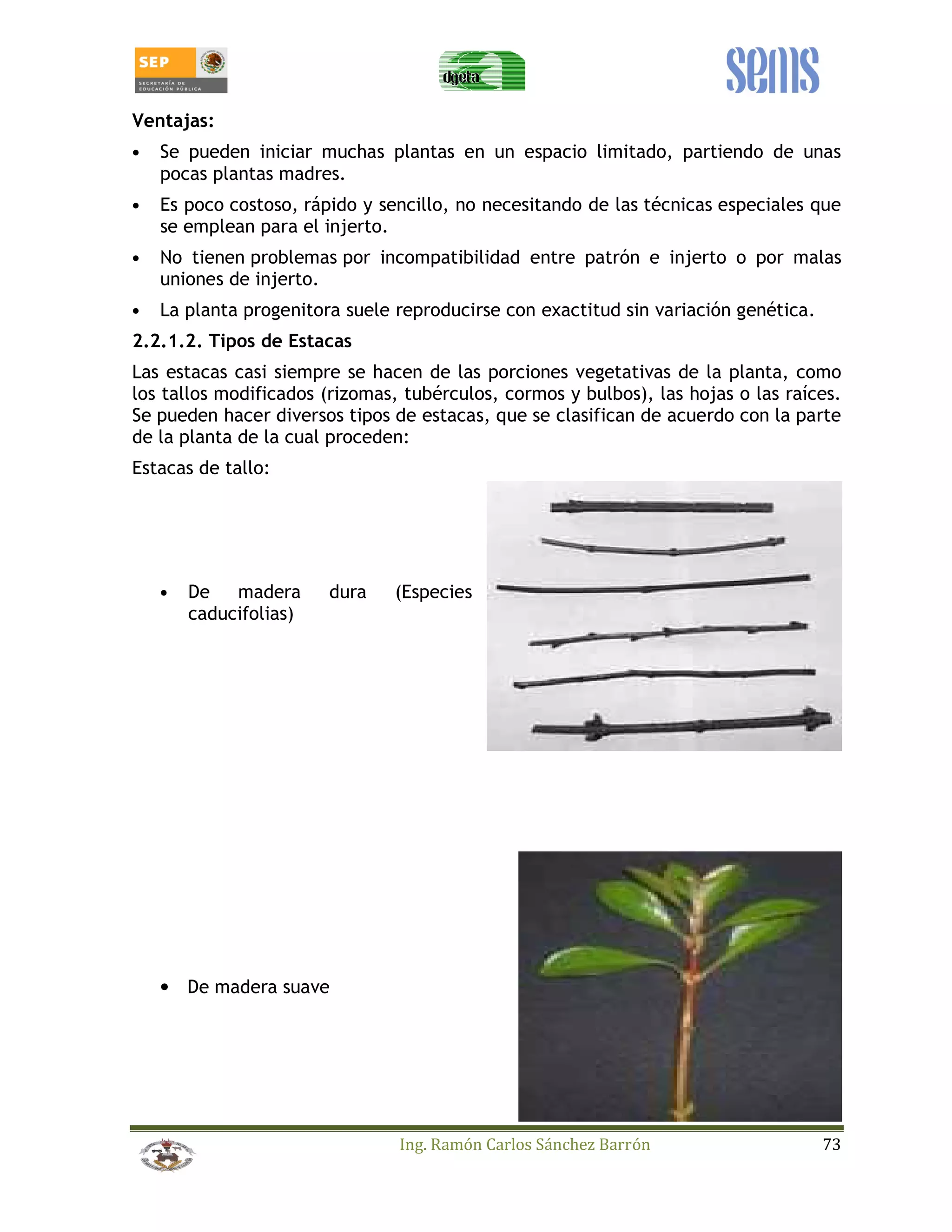 Ing. Ramón Carlos Sánchez Barrón 73 
Ventajas: 
• Se pueden iniciar muchas plantas en un espacio limitado, partiendo de unas 
pocas plantas madres. 
• Es poco costoso, rápido y sencillo, no necesitando de las técnicas especiales que 
se emplean para el injerto. 
• No tienen problemas por incompatibilidad entre patrón e injerto o por malas 
uniones de injerto. 
• La planta progenitora suele reproducirse con exactitud sin variación genética. 
2.2.1.2. Tipos de Estacas 
Las estacas casi siempre se hacen de las porciones vegetativas de la planta, como 
los tallos modificados (rizomas, tubérculos, cormos y bulbos), las hojas o las raíces. 
Se pueden hacer diversos tipos de estacas, que se clasifican de acuerdo con la parte 
de la planta de la cual proceden: 
Estacas de tallo: 
• De madera dura (Especies 
caducifolias) 
• De madera suave 
 