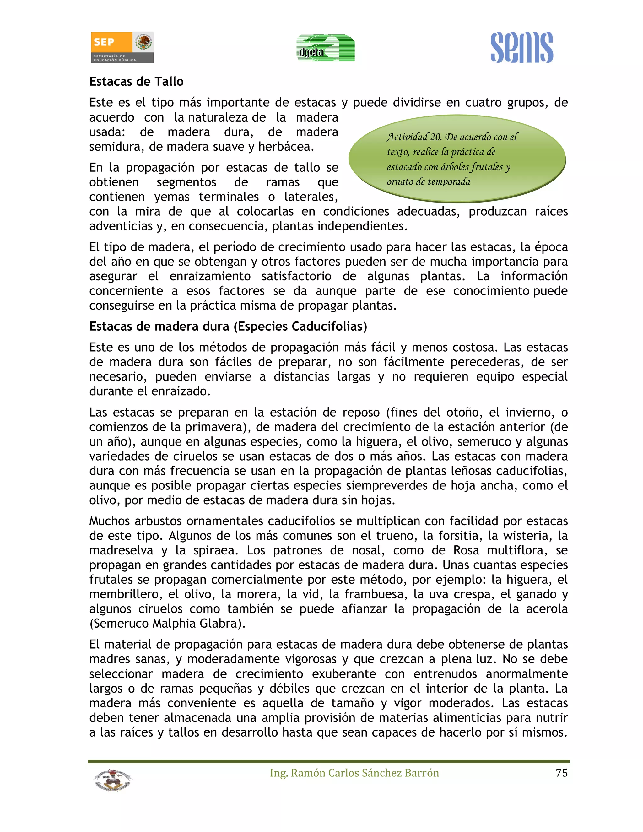 Estacas de Tallo 
Este es el tipo más importante de estacas y puede dividirse en cuatro grupos, de 
acuerdo con la naturaleza de la madera 
usada: de madera dura, de madera 
Actividad 20. De acuerdo con el 
semidura, de madera suave y herbácea. 
texto, realice la práctica de 
En la propagación por estacas de tallo se 
estacado con árboles frutales y 
obtienen segmentos de ramas que 
ornato de temporada 
contienen yemas terminales o laterales, 
con la mira de que al colocarlas en condiciones adecuadas, produzcan raíces 
adventicias y, en consecuencia, plantas independientes. 
El tipo de madera, el período de crecimiento usado para hacer las estacas, la época 
del año en que se obtengan y otros factores pueden ser de mucha importancia para 
asegurar el enraizamiento satisfactorio de algunas plantas. La información 
concerniente a esos factores se da aunque parte de ese conocimiento puede 
conseguirse en la práctica misma de propagar plantas. 
Estacas de madera dura (Especies Caducifolias) 
Este es uno de los métodos de propagación más fácil y menos costosa. Las estacas 
de madera dura son fáciles de preparar, no son fácilmente perecederas, de ser 
necesario, pueden enviarse a distancias largas y no requieren equipo especial 
durante el enraizado. 
Las estacas se preparan en la estación de reposo (fines del otoño, el invierno, o 
comienzos de la primavera), de madera del crecimiento de la estación anterior (de 
un año), aunque en algunas especies, como la higuera, el olivo, semeruco y algunas 
variedades de ciruelos se usan estacas de dos o más años. Las estacas con madera 
dura con más frecuencia se usan en la propagación de plantas leñosas caducifolias, 
aunque es posible propagar ciertas especies siempreverdes de hoja ancha, como el 
olivo, por medio de estacas de madera dura sin hojas. 
Muchos arbustos ornamentales caducifolios se multiplican con facilidad por estacas 
de este tipo. Algunos de los más comunes son el trueno, la forsitia, la wisteria, la 
madreselva y la spiraea. Los patrones de nosal, como de Rosa multiflora, se 
propagan en grandes cantidades por estacas de madera dura. Unas cuantas especies 
frutales se propagan comercialmente por este método, por ejemplo: la higuera, el 
membrillero, el olivo, la morera, la vid, la frambuesa, la uva crespa, el ganado y 
algunos ciruelos como también se puede afianzar la propagación de la acerola 
(Semeruco Malphia Glabra). 
El material de propagación para estacas de madera dura debe obtenerse de plantas 
madres sanas, y moderadamente vigorosas y que crezcan a plena luz. No se debe 
seleccionar madera de crecimiento exuberante con entrenudos anormalmente 
largos o de ramas pequeñas y débiles que crezcan en el interior de la planta. La 
madera más conveniente es aquella de tamaño y vigor moderados. Las estacas 
deben tener almacenada una amplia provisión de materias alimenticias para nutrir 
a las raíces y tallos en desarrollo hasta que sean capaces de hacerlo por sí mismos. 
Ing. Ramón Carlos Sánchez Barrón 75 
 