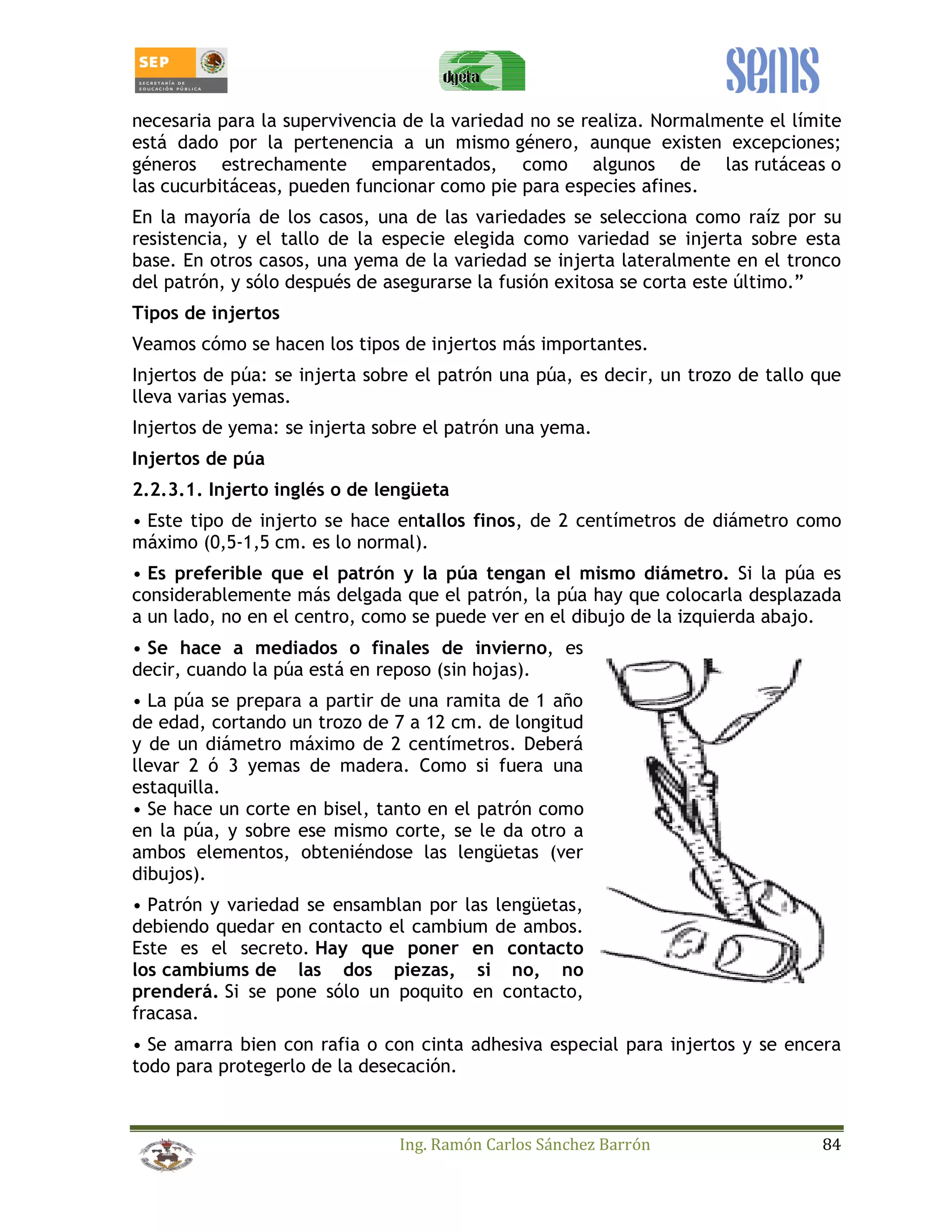 necesaria para la supervivencia de la variedad no se realiza. Normalmente el límite 
está dado por la pertenencia a un mismo género, aunque existen excepciones; 
géneros estrechamente emparentados, como algunos de las rutáceas o 
las cucurbitáceas, pueden funcionar como pie para especies afines. 
En la mayoría de los casos, una de las variedades se selecciona como raíz por su 
resistencia, y el tallo de la especie elegida como variedad se injerta sobre esta 
base. En otros casos, una yema de la variedad se injerta lateralmente en el tronco 
del patrón, y sólo después de asegurarse la fusión exitosa se corta este último.” 
Tipos de injertos 
Veamos cómo se hacen los tipos de injertos más importantes. 
Injertos de púa: se injerta sobre el patrón una púa, es decir, un trozo de tallo que 
lleva varias yemas. 
Injertos de yema: se injerta sobre el patrón una yema. 
Injertos de púa 
2.2.3.1. Injerto inglés o de lengüeta 
• Este tipo de injerto se hace entallos finos, de 2 centímetros de diámetro como 
máximo (0,5-1,5 cm. es lo normal). 
• Es preferible que el patrón y la púa tengan el mismo diámetro. Si la púa es 
considerablemente más delgada que el patrón, la púa hay que colocarla desplazada 
a un lado, no en el centro, como se puede ver en el dibujo de la izquierda abajo. 
• Se hace a mediados o finales de invierno, es 
decir, cuando la púa está en reposo (sin hojas). 
• La púa se prepara a partir de una ramita de 1 año 
de edad, cortando un trozo de 7 a 12 cm. de longitud 
y de un diámetro máximo de 2 centímetros. Deberá 
llevar 2 ó 3 yemas de madera. Como si fuera una 
estaquilla. 
• Se hace un corte en bisel, tanto en el patrón como 
en la púa, y sobre ese mismo corte, se le da otro a 
ambos elementos, obteniéndose las lengüetas (ver 
dibujos). 
• Patrón y variedad se ensamblan por las lengüetas, 
debiendo quedar en contacto el cambium de ambos. 
Este es el secreto. Hay que poner en contacto 
los cambiums de las dos piezas, si no, no 
prenderá. Si se pone sólo un poquito en contacto, 
fracasa. 
• Se amarra bien con rafia o con cinta adhesiva especial para injertos y se encera 
todo para protegerlo de la desecación. 
Ing. Ramón Carlos Sánchez Barrón 84 
 