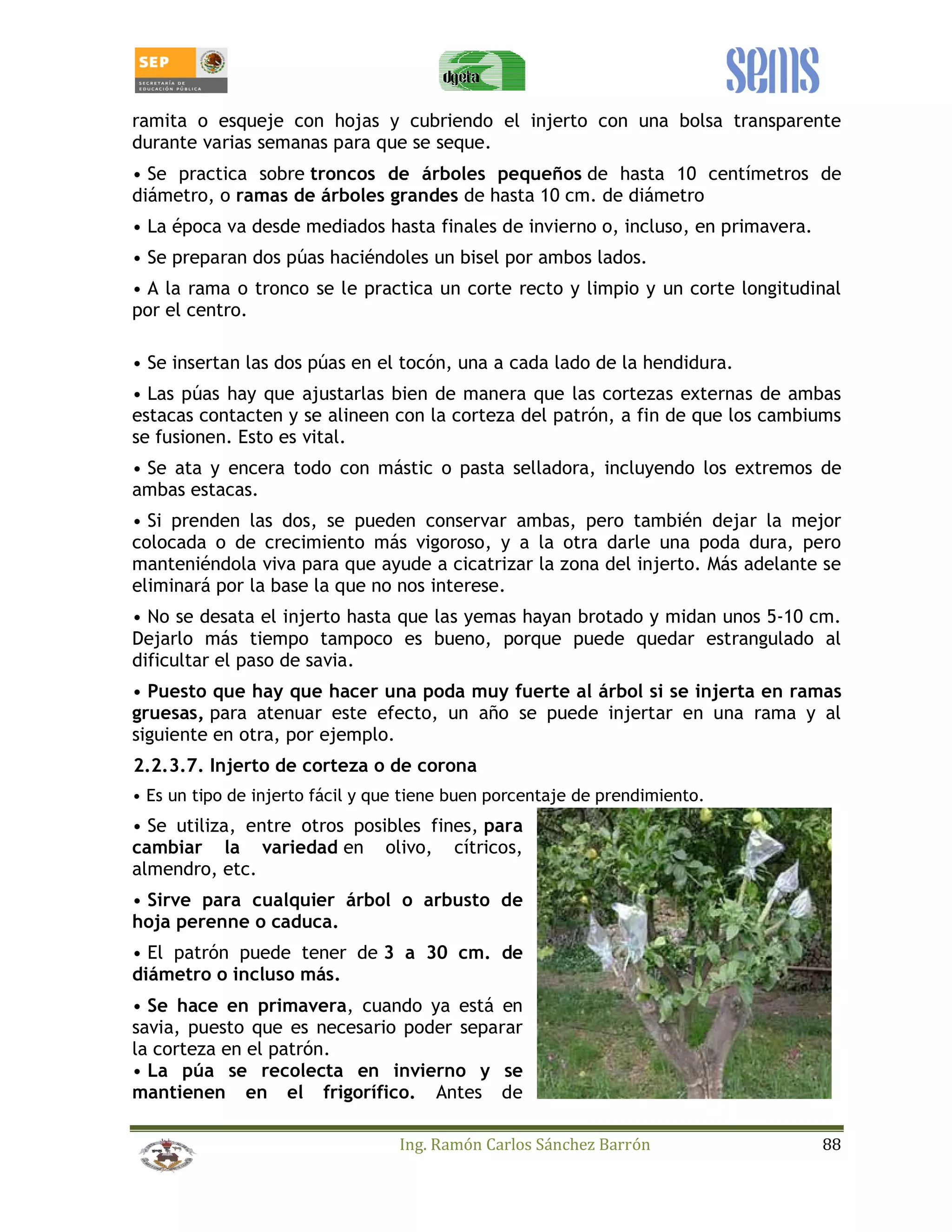 ramita o esqueje con hojas y cubriendo el injerto con una bolsa transparente 
durante varias semanas para que se seque. 
• Se practica sobre troncos de árboles pequeños de hasta 10 centímetros de 
diámetro, o ramas de árboles grandes de hasta 10 cm. de diámetro 
• La época va desde mediados hasta finales de invierno o, incluso, en primavera. 
• Se preparan dos púas haciéndoles un bisel por ambos lados. 
• A la rama o tronco se le practica un corte recto y limpio y un corte longitudinal 
por el centro. 
• Se insertan las dos púas en el tocón, una a cada lado de la hendidura. 
• Las púas hay que ajustarlas bien de manera que las cortezas externas de ambas 
estacas contacten y se alineen con la corteza del patrón, a fin de que los cambiums 
se fusionen. Esto es vital. 
• Se ata y encera todo con mástic o pasta selladora, incluyendo los extremos de 
ambas estacas. 
• Si prenden las dos, se pueden conservar ambas, pero también dejar la mejor 
colocada o de crecimiento más vigoroso, y a la otra darle una poda dura, pero 
manteniéndola viva para que ayude a cicatrizar la zona del injerto. Más adelante se 
eliminará por la base la que no nos interese. 
• No se desata el injerto hasta que las yemas hayan brotado y midan unos 5-10 cm. 
Dejarlo más tiempo tampoco es bueno, porque puede quedar estrangulado al 
dificultar el paso de savia. 
• Puesto que hay que hacer una poda muy fuerte al árbol si se injerta en ramas 
gruesas, para atenuar este efecto, un año se puede injertar en una rama y al 
siguiente en otra, por ejemplo. 
2.2.3.7. Injerto de corteza o de corona 
• Es un tipo de injerto fácil y que tiene buen porcentaje de prendimiento. 
• Se utiliza, entre otros posibles fines, para 
cambiar la variedad en olivo, cítricos, 
almendro, etc. 
• Sirve para cualquier árbol o arbusto de 
hoja perenne o caduca. 
• El patrón puede tener de 3 a 30 cm. de 
diámetro o incluso más. 
• Se hace en primavera, cuando ya está en 
savia, puesto que es necesario poder separar 
la corteza en el patrón. 
• La púa se recolecta en invierno y se 
mantienen en el frigorífico. Antes de 
Ing. Ramón Carlos Sánchez Barrón 88 
 