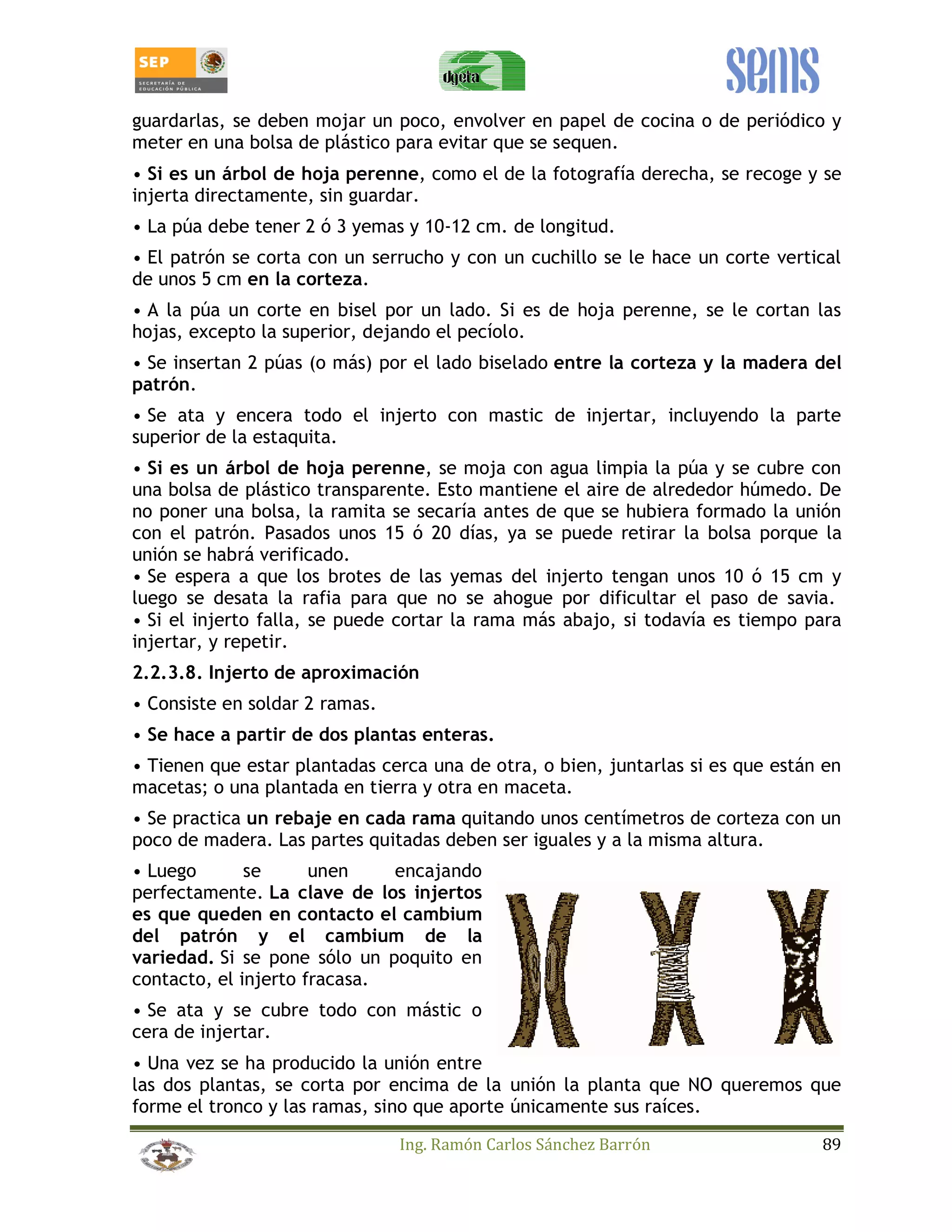 guardarlas, se deben mojar un poco, envolver en papel de cocina o de periódico y 
meter en una bolsa de plástico para evitar que se sequen. 
• Si es un árbol de hoja perenne, como el de la fotografía derecha, se recoge y se 
injerta directamente, sin guardar. 
• La púa debe tener 2 ó 3 yemas y 10-12 cm. de longitud. 
• El patrón se corta con un serrucho y con un cuchillo se le hace un corte vertical 
de unos 5 cm en la corteza. 
• A la púa un corte en bisel por un lado. Si es de hoja perenne, se le cortan las 
hojas, excepto la superior, dejando el pecíolo. 
• Se insertan 2 púas (o más) por el lado biselado entre la corteza y la madera del 
patrón. 
• Se ata y encera todo el injerto con mastic de injertar, incluyendo la parte 
superior de la estaquita. 
• Si es un árbol de hoja perenne, se moja con agua limpia la púa y se cubre con 
una bolsa de plástico transparente. Esto mantiene el aire de alrededor húmedo. De 
no poner una bolsa, la ramita se secaría antes de que se hubiera formado la unión 
con el patrón. Pasados unos 15 ó 20 días, ya se puede retirar la bolsa porque la 
unión se habrá verificado. 
• Se espera a que los brotes de las yemas del injerto tengan unos 10 ó 15 cm y 
luego se desata la rafia para que no se ahogue por dificultar el paso de savia. 
• Si el injerto falla, se puede cortar la rama más abajo, si todavía es tiempo para 
injertar, y repetir. 
2.2.3.8. Injerto de aproximación 
• Consiste en soldar 2 ramas. 
• Se hace a partir de dos plantas enteras. 
• Tienen que estar plantadas cerca una de otra, o bien, juntarlas si es que están en 
macetas; o una plantada en tierra y otra en maceta. 
• Se practica un rebaje en cada rama quitando unos centímetros de corteza con un 
poco de madera. Las partes quitadas deben ser iguales y a la misma altura. 
• Luego se unen encajando 
perfectamente. La clave de los injertos 
es que queden en contacto el cambium 
del patrón y el cambium de la 
variedad. Si se pone sólo un poquito en 
contacto, el injerto fracasa. 
• Se ata y se cubre todo con mástic o 
cera de injertar. 
• Una vez se ha producido la unión entre 
las dos plantas, se corta por encima de la unión la planta que NO queremos que 
forme el tronco y las ramas, sino que aporte únicamente sus raíces. 
Ing. Ramón Carlos Sánchez Barrón 89 
 