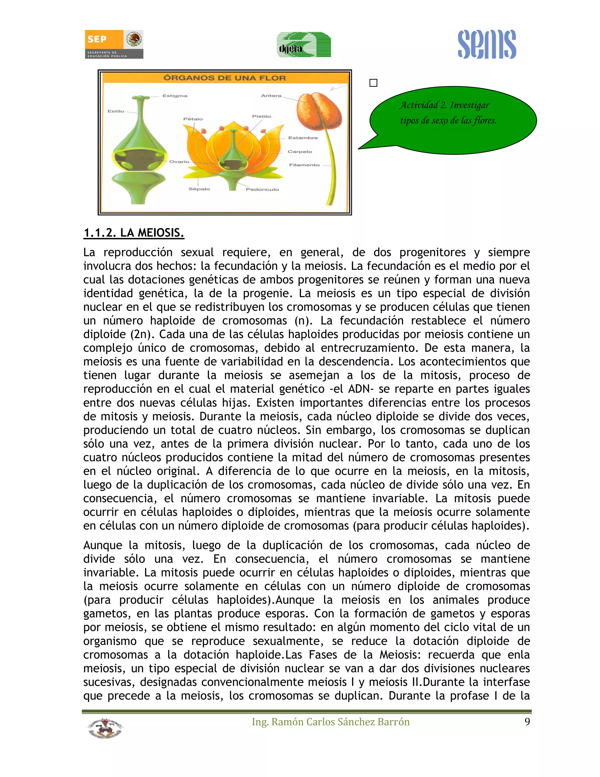 Actividad 2. Investigar 
tipos de sexo de las flores. 
1.1.2. LA MEIOSIS. 
La reproducción sexual requiere, en general, de dos progenitores y siempre 
involucra dos hechos: la fecundación y la meiosis. La fecundación es el medio por el 
cual las dotaciones genéticas de ambos progenitores se reúnen y forman una nueva 
identidad genética, la de la progenie. La meiosis es un tipo especial de división 
nuclear en el que se redistribuyen los cromosomas y se producen células que tienen 
un número haploide de cromosomas (n). La fecundación restablece el número 
diploide (2n). Cada una de las células haploides producidas por meiosis contiene un 
complejo único de cromosomas, debido al entrecruzamiento. De esta manera, la 
meiosis es una fuente de variabilidad en la descendencia. Los acontecimientos que 
tienen lugar durante la meiosis se asemejan a los de la mitosis, proceso de 
reproducción en el cual el material genético -el ADN- se reparte en partes iguales 
entre dos nuevas células hijas. Existen importantes diferencias entre los procesos 
de mitosis y meiosis. Durante la meiosis, cada núcleo diploide se divide dos veces, 
produciendo un total de cuatro núcleos. Sin embargo, los cromosomas se duplican 
sólo una vez, antes de la primera división nuclear. Por lo tanto, cada uno de los 
cuatro núcleos producidos contiene la mitad del número de cromosomas presentes 
en el núcleo original. A diferencia de lo que ocurre en la meiosis, en la mitosis, 
luego de la duplicación de los cromosomas, cada núcleo de divide sólo una vez. En 
consecuencia, el número cromosomas se mantiene invariable. La mitosis puede 
ocurrir en células haploides o diploides, mientras que la meiosis ocurre solamente 
en células con un número diploide de cromosomas (para producir células haploides). 
Aunque la mitosis, luego de la duplicación de los cromosomas, cada núcleo de 
divide sólo una vez. En consecuencia, el número cromosomas se mantiene 
invariable. La mitosis puede ocurrir en células haploides o diploides, mientras que 
la meiosis ocurre solamente en células con un número diploide de cromosomas 
(para producir células haploides).Aunque la meiosis en los animales produce 
gametos, en las plantas produce esporas. Con la formación de gametos y esporas 
por meiosis, se obtiene el mismo resultado: en algún momento del ciclo vital de un 
organismo que se reproduce sexualmente, se reduce la dotación diploide de 
cromosomas a la dotación haploide.Las Fases de la Meiosis: recuerda que enla 
meiosis, un tipo especial de división nuclear se van a dar dos divisiones nucleares 
sucesivas, designadas convencionalmente meiosis I y meiosis II.Durante la interfase 
que precede a la meiosis, los cromosomas se duplican. Durante la profase I de la 
Ing. Ramón Carlos Sánchez Barrón 9 
 