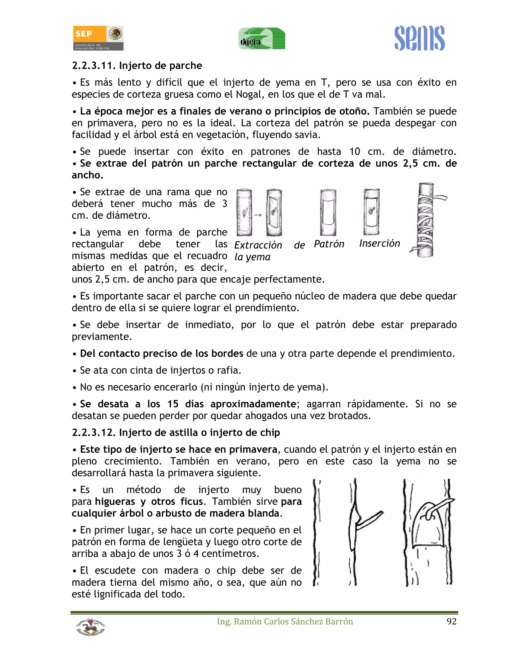 2.2.3.11. Injerto de parche 
• Es más lento y difícil que el injerto de yema en T, pero se usa con éxito en 
especies de corteza gruesa como el Nogal, en los que el de T va mal. 
• La época mejor es a finales de verano o principios de otoño. También se puede 
en primavera, pero no es la ideal. La corteza del patrón se pueda despegar con 
facilidad y el árbol está en vegetación, fluyendo savia. 
• Se puede insertar con éxito en patrones de hasta 10 cm. de diámetro. 
• Se extrae del patrón un parche rectangular de corteza de unos 2,5 cm. de 
ancho. 
• Se extrae de una rama que no 
deberá tener mucho más de 3 
cm. de diámetro. 
• La yema en forma de parche 
rectangular debe tener las 
Extracción de 
Patrón 
Inserción 
mismas medidas que el recuadro 
la yema 
abierto en el patrón, es decir, 
unos 2,5 cm. de ancho para que encaje perfectamente. 
• Es importante sacar el parche con un pequeño núcleo de madera que debe quedar 
dentro de ella si se quiere lograr el prendimiento. 
• Se debe insertar de inmediato, por lo que el patrón debe estar preparado 
previamente. 
• Del contacto preciso de los bordes de una y otra parte depende el prendimiento. 
• Se ata con cinta de injertos o rafia. 
• No es necesario encerarlo (ni ningún injerto de yema). 
• Se desata a los 15 días aproximadamente; agarran rápidamente. Si no se 
desatan se pueden perder por quedar ahogados una vez brotados. 
2.2.3.12. Injerto de astilla o injerto de chip 
• Este tipo de injerto se hace en primavera, cuando el patrón y el injerto están en 
pleno crecimiento. También en verano, pero en este caso la yema no se 
desarrollará hasta la primavera siguiente. 
• Es un método de injerto muy bueno 
para higueras y otros ficus. También sirve para 
cualquier árbol o arbusto de madera blanda. 
• En primer lugar, se hace un corte pequeño en el 
patrón en forma de lengüeta y luego otro corte de 
arriba a abajo de unos 3 ó 4 centímetros. 
• El escudete con madera o chip debe ser de 
madera tierna del mismo año, o sea, que aún no 
esté lignificada del todo. 
Ing. Ramón Carlos Sánchez Barrón 92 
 