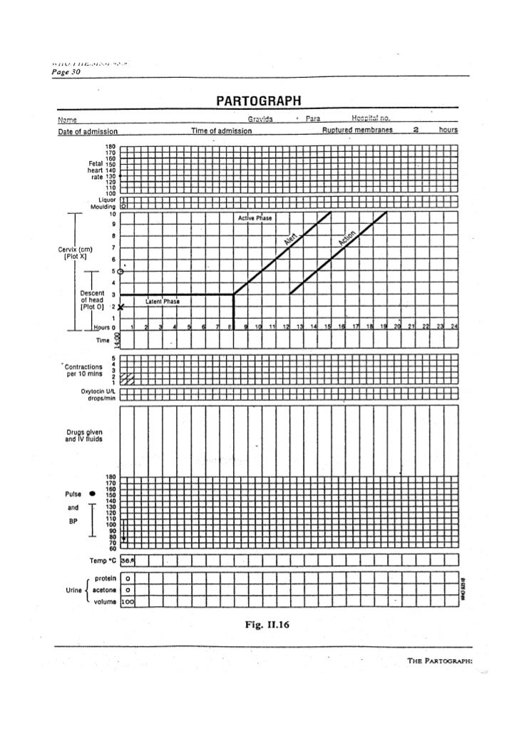 Manual Del Usuario Partograma Oms