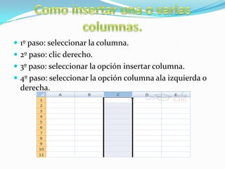  1º paso: seleccionar la columna.
 2º paso: clic derecho.
 3º paso: seleccionar la opción insertar columna.
 4º paso: seleccionar la opción columna ala izquierda o

derecha.

 