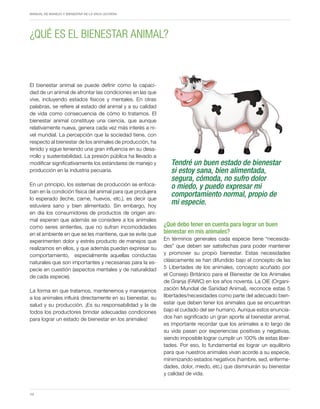 Periodo de transición y su impacto en la salud y bienestar de vacas lecheras
MANUAL DE MANEJO Y BIENESTAR DE LA VACA LECHERA
10
El bienestar animal se puede definir como la capaci-
dad de un animal de afrontar las condiciones en las que
vive, incluyendo estados físicos y mentales. En otras
palabras, se refiere al estado del animal y a su calidad
de vida como consecuencia de cómo lo tratamos. El
bienestar animal constituye una ciencia, que aunque
relativamente nueva, genera cada vez más interés a ni-
vel mundial. La percepción que la sociedad tiene, con
respecto al bienestar de los animales de producción, ha
tenido y sigue teniendo una gran influencia en su desa-
rrollo y sustentabilidad. La presión pública ha llevado a
modificar significativamente los estándares de manejo y
producción en la industria pecuaria.
En un principio, los sistemas de producción se enfoca-
ban en la condición física del animal para que produjera
lo esperado (leche, carne, huevos, etc.), es decir que
estuviera sano y bien alimentado. Sin embargo, hoy
en día los consumidores de productos de origen ani-
mal esperan que además se considere a los animales
como seres sintientes, que no sufran incomodidades
en el ambiente en que se les mantiene, que se evite que
experimenten dolor y estrés producto de manejos que
realizamos en ellos, y que además puedan expresar su
comportamiento, especialmente aquellas conductas
naturales que son importantes y necesarias para la es-
pecie en cuestión (aspectos mentales y de naturalidad
de cada especie).
La forma en que tratamos, mantenemos y manejamos
a los animales influirá directamente en su bienestar, su
salud y su producción. ¡Es su responsabilidad y la de
todos los productores brindar adecuadas condiciones
para lograr un estado de bienestar en los animales!
¿Qué debo tener en cuenta para lograr un buen
bienestar en mis animales?
En términos generales cada especie tiene “necesida-
des” que deben ser satisfechas para poder mantener
y promover su propio bienestar. Estas necesidades
clásicamente se han difundido bajo el concepto de las
5 Libertades de los animales, concepto acuñado por
el Consejo Británico para el Bienestar de los Animales
de Granja (FAWC) en los años noventa. La OIE (Organi-
zación Mundial de Sanidad Animal), reconoce estas 5
libertades/necesidades como parte del adecuado bien-
estar que deben tener los animales que se encuentran
bajo el cuidado del ser humano. Aunque estos enuncia-
dos han significado un gran aporte al bienestar animal,
es importante recordar que los animales a lo largo de
su vida pasan por experiencias positivas y negativas,
siendo imposible lograr cumplir un 100% de estas liber-
tades. Por eso, lo fundamental es lograr un equilibrio
para que nuestros animales vivan acorde a su especie,
minimizando estados negativos (hambre, sed, enferme-
dades, dolor, miedo, etc.) que disminuirán su bienestar
y calidad de vida.
¿QUÉ ES EL BIENESTAR ANIMAL?
Tendré un buen estado de bienestar
si estoy sana, bien alimentada,
segura, cómoda, no sufro dolor
o miedo, y puedo expresar mi
comportamiento normal, propio de
mi especie.
 