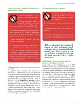 Capítulo 1. Hablemos de Bienestar Animal
13
¿Qué manejos están PROHIBIDOS de acuerdo a la
reglamentación vigente?
1. Golpear a los animales causan-
do dolor o sufrimiento innecesario.
2. Moverlos aplicando presión o
estímulos eléctricos en puntos
sensibles del animal (ojos, boca,
orejas, vulva, región ano-genital, vientre, etc.).
3. Arrojarlos o arrastrarlos de la cabeza, cuernos,
orejas, patas, cola, etc., excepto en situaciones
de emergencia en que el bienestar de animales u
operarios esté en peligro.
4. Utilizar instrumentos de estímulo que sean
cortantes y/o punzantes.
5. Atar a los animales para su transporte de ma-
nera que su bienestar se vea comprometido.
6. El uso de instrumentos de estímulo eléctrico
(picana eléctrica) sólo se permite en casos justifi-
cados como cuando un animal adulto no avanza
(teniendo espacio suficiente para ello), debe ser
de bajo voltaje y aplicarse en los cuartos traseros
y no en forma reiterada.
¿Qué aspectos del transporte de ganado debo tener
presente?
En un plantel lechero siempre habrá animales que
transportar, ya sea para recría en otro lugar, para venta
en ferias o mataderos. El transporte de ganado (carga,
transporte y descarga) está reglamentado por el De-
creto 30 de la Ley de Protección Animal y debe ser
realizado por un encargado del ganado que debe
demostrar también estar capacitado (certificado al
día) en manejo y bienestar animal o demostrar que es
profesional o técnico del área agropecuaria. Todos los
transportistas de ganado bovino deben estar capaci-
tados como encargados de los animales según la Ley
20.380 y sus vehículos certificados para el transporte
de ganado según la Ley 19.162.
¿Qué animales NO debo transportar?
1. Hembras preñadas que se en-
cuentren en el último mes de ges-
tación o que puedan parir durante
el transporte.
2. Animales que no pueden permanecer de pie
sin ayuda.
3. Animales recién nacidos con el ombligo sin
cicatrizar.
4. Animales con evidente compromiso de su es-
tado general que no puedan ser transportados
sin causarles dolor o sufrimiento innecesario.
OJO…el transporte de animales de
alguna de estas categorías puede
realizarse sólo en casos justificados
cuando sean transportados a cen-
tros médicos u hospitales veterina-
rios y con supervisión de un médico
veterinario!
¿Quién fiscaliza el cumplimiento de la Ley de
Protección Animal y sus Decretos?
Le corresponde al Servicio Agrícola y Ganadero (SAG)
fiscalizar y controlar el cumplimiento de los Decretos
29 (Producción Industrial) y 30 (Transporte de ganado).
Para ello en el SAG central existe un Sub-departamento
de Bienestar Animal que coordina estos temas a ni-
vel nacional y en cada región hay un profesional del
Servicio que está encargado de bienestar animal. Ellos
son la autoridad competente y deben velar por el cum-
plimiento de la legislación, pudiendo para ello realizar
inspecciones en los predios, ferias ganaderas y vehí-
culos que transportan ganado, así como también a las
entidades que capacitan a los encargados del manejo
animal en predio y a los transportistas.
 