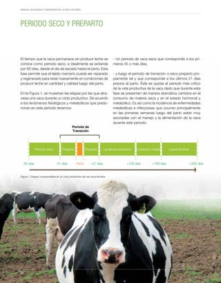 Periodo de transición y su impacto en la salud y bienestar de vacas lecheras
MANUAL DE MANEJO Y BIENESTAR DE LA VACA LECHERA
22
El tiempo que la vaca permanece sin producir leche se
conoce como periodo seco, e idealmente se extiende
por 60 días, desde el día de secado hasta el parto. Esta
fase permite que el tejido mamario pueda ser reparado
y regenerado para estar nuevamente en condiciones de
producir leche en cantidad y calidad luego del parto.
En la Figura 1. se muestran las etapas por las que atra-
viesa una vaca durante un ciclo productivo. De acuerdo
a los fenómenos fisiológicos y metabólicos que predo-
minan en este período tenemos:
- Un período de vaca seca que corresponde a los pri-
meros 45 o más días,
- y luego el período de transición o seco preparto pro-
piamente tal y que corresponde a los últimos 21 días
previos al parto. Éste es quizás el período más crítico
de la vida productiva de la vaca dado que durante esta
fase se presentan de manera dramática cambios en el
consumo de materia seca y en el estado hormonal y
metabólico. Es así como la incidencia de enfermedades
metabólicas e infecciosas que ocurren principalmente
en las primeras semanas luego del parto están muy
asociadas con el manejo y la alimentación de la vaca
durante este periodo.
PERIODO SECO Y PREPARTO
Figura 1. Etapas comprendidas en un ciclo productivo de una vaca lechera.
Período de
Transición
Período seco
-60 días -21 días +21 días +100 días +180 días +300 días
Parto
Preparto Posparto Lactancia temprana Lactancia media Lactancia final
22
 