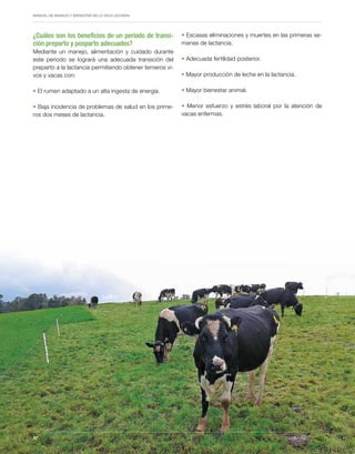 Periodo de transición y su impacto en la salud y bienestar de vacas lecheras
MANUAL DE MANEJO Y BIENESTAR DE LA VACA LECHERA
32
¿Cuáles son los beneficios de un periodo de transi-
ción preparto y posparto adecuados?
Mediante un manejo, alimentación y cuidado durante
este periodo se logrará una adecuada transición del
preparto a la lactancia permitiendo obtener terneros vi-
vos y vacas con:
• El rumen adaptado a un alta ingesta de energía.
• Baja incidencia de problemas de salud en los prime-
ros dos meses de lactancia.
• Escasas eliminaciones y muertes en las primeras se-
manas de lactancia.
• Adecuada fertilidad posterior.
• Mayor producción de leche en la lactancia.
• Mayor bienestar animal.
• Menor esfuerzo y estrés laboral por la atención de
vacas enfermas.
32
 