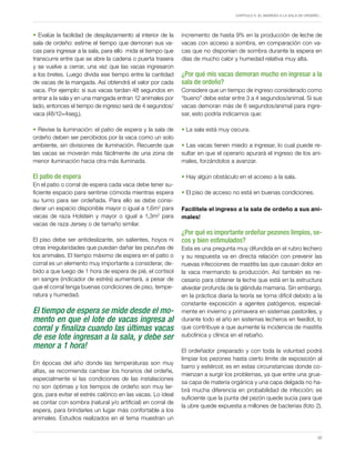 Capítulo 5. El ingreso a la sala de ordeño…
35
incremento de hasta 9% en la producción de leche de
vacas con acceso a sombra, en comparación con va-
cas que no disponían de sombra durante la espera en
días de mucho calor y humedad relativa muy alta.
¿Por qué mis vacas demoran mucho en ingresar a la
sala de ordeño?
Considere que un tiempo de ingreso considerado como
“bueno” debe estar entre 3 a 4 segundos/animal. Si sus
vacas demoran más de 6 segundos/animal para ingre-
sar, esto podría indicarnos que:
• La sala está muy oscura.
• Las vacas tienen miedo a ingresar, lo cual puede re-
sultar en que el operario apurará el ingreso de los ani-
males, forzándolos a avanzar.
• Hay algún obstáculo en el acceso a la sala.
• El piso de acceso no está en buenas condiciones.
Facilítele el ingreso a la sala de ordeño a sus ani-
males!
¿Por qué es importante ordeñar pezones limpios, se-
cos y bien estimulados?
Esta es una pregunta muy difundida en el rubro lechero
y su respuesta va en directa relación con prevenir las
nuevas infecciones de mastitis las que causan dolor en
la vaca mermando la producción. Así también es ne-
cesario para obtener la leche que está en la estructura
alveolar profunda de la glándula mamaria. Sin embargo,
en la práctica diaria la teoría se torna difícil debido a la
constante exposición a agentes patógenos, especial-
mente en invierno y primavera en sistemas pastoriles, y
durante todo el año en sistemas lecheros en feedlot, lo
que contribuye a que aumente la incidencia de mastitis
subclínica y clínica en el rebaño.
El ordeñador preparado y con toda la voluntad podrá
limpiar los pezones hasta cierto límite de exposición al
barro y estiércol; es en estas circunstancias donde co-
mienzan a surgir los problemas, ya que entre una grue-
sa capa de materia orgánica y una capa delgada no ha-
brá mucha diferencia en probabilidad de infección; es
suficiente que la punta del pezón quede sucia para que
la ubre quede expuesta a millones de bacterias (foto 2).
• Evalúe la facilidad de desplazamiento al interior de la
sala de ordeño: estime el tiempo que demoran sus va-
cas para ingresar a la sala, para ello mida el tiempo que
transcurre entre que se abre la cadena o puerta trasera
y se vuelve a cerrar, una vez que las vacas ingresaron
a los bretes. Luego divida ese tiempo entre la cantidad
de vacas de la mangada. Así obtendrá el valor por cada
vaca. Por ejemplo: si sus vacas tardan 48 segundos en
entrar a la sala y en una mangada entran 12 animales por
lado, entonces el tiempo de ingreso será de 4 segundos/
vaca (48/12=4seg.).
• Revise la iluminación: el patio de espera y la sala de
ordeño deben ser percibidos por la vaca como un solo
ambiente, sin divisiones de iluminación. Recuerde que
las vacas se moverán más fácilmente de una zona de
menor iluminación hacia otra más iluminada.
El patio de espera
En el patio o corral de espera cada vaca debe tener su-
ficiente espacio para sentirse cómoda mientras espera
su turno para ser ordeñada. Para ello se debe consi-
derar un espacio disponible mayor o igual a 1,6m2
para
vacas de raza Holstein y mayor o igual a 1,3m2
para
vacas de raza Jersey o de tamaño similar.
El piso debe ser antideslizante, sin salientes, hoyos ni
otras irregularidades que puedan dañar las pezuñas de
los animales. El tiempo máximo de espera en el patio o
corral es un elemento muy importante a considerar, de-
bido a que luego de 1 hora de espera de pié, el cortisol
en sangre (indicador de estrés) aumentará, a pesar de
que el corral tenga buenas condiciones de piso, tempe-
ratura y humedad.
El tiempo de espera se mide desde el mo-
mento en que el lote de vacas ingresa al
corral y finaliza cuando las últimas vacas
de ese lote ingresan a la sala, y debe ser
menor a 1 hora!
En épocas del año donde las temperaturas son muy
altas, se recomienda cambiar los horarios del ordeñe,
especialmente si las condiciones de las instalaciones
no son óptimas y los tiempos de ordeño son muy lar-
gos, para evitar el estrés calórico en las vacas. Lo ideal
es contar con sombra (natural y/o artificial) en corral de
espera, para brindarles un lugar más confortable a los
animales. Estudios realizados en el tema muestran un
 
