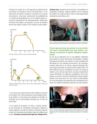 Capítulo 5. El ingreso a la sala de ordeño…
39
Coloque la unidad 45 a 90 segundos posteriormente
de extraer los primeros chorros de leche (foto 11), de
esta forma el ordeño mecánico coincidirá con el peak
de oxitocina de la vaca, reduciendo la posibilidad de
un ordeño bimodal (figura b) y en el mediano plazo re-
ducirá la presentación de hiperqueratosis. Optimizará
el tiempo de trabajo y producción, ya que se extraerá
leche más rápido y hasta un 5% más por cada ordeño.
• Las vacas que experimentan dolor debido a lesiones
en el pezón son más propensas a dar patadas duran-
te el ordeño. La frecuencia de patadas es también un
indicador de la incomodidad causada por un flujo de
leche bajo.
• Si a pesar de practicar un arreo y manejo tranqui-
lo, los animales se manifiestan intranquilos, defecan y
evitan ingresar a la sala de ordeño, chequee la sala de
ordeño en búsqueda de posibles fugas de voltaje hacia
el piso. Causas comunes de fugas de voltaje en le-
Litros/min
5
4
3
2
1
Litros/min
5
4
3
2
1
8 min
1 2 3 4 5 6 7
7 min
1 2 3 4 5 6
Litros/min
5
4
3
2
1
Litros/min
5
4
3
2
1
8 min
1 2 3 4 5 6 7
7 min
1 2 3 4 5 6
b) Patrón bimodal de flujo de leche de una vaca mal estimulada. El tiempo de
ordeño es mayor.
a) Patrón de flujo de leche de una vaca bien estimulada
cherías son: aparatos de iluminación mal aislados en
ambientes húmedos, sistema eléctrico de la máquina
de ordeño con mala conexión a tierra, descargas desde
arreadores automáticos, etc.
Al usar agua para lavar los pezones en el pre ordeño,
¿Por qué es recomendable usar agua clorada y mo-
nitorear la presencia de agentes patógenos regular-
mente?
El uso de la aplicación de un pre-sellador registrado
para prevenir nuevas infecciones ambientales y facilitar
la limpieza del pezón pre-ordeño, ha sido ampliamente
difundida por sus ventajas económicas. Sin embargo,
aunque cada día se ve menos, algunas lecherías aún
usan agua para lavar los pezones pre-ordeño (foto 12).
Para obtener buenos resultados sin poner en riesgo el
rebaño, es en primer lugar tener una baja incidencia de
vacas infectadas con agentes contagiosos como Sta-
phylos, ya que los mismos ordeñadores al lavar pueden
infectar una vaca sana con sus manos contaminadas.
Es muy importante usar agua libre de microrganismos y
secar con toalla de papel los pezones una vez lavados!
Foto 11. Colocar la unidad de ordeño en el momento correcto, es una regla im-
portante de buena rutina de ordeño, fundamental para mejorar su producción.
Foto 12. Si la las condiciones de exposición a materia orgánica es muy alta,
puede usar agua limpia para mejorar la higiene pre-ordeño, pero es funda-
mental secar con una toalla individual el pezón para prevenir un problema
mayor.
 