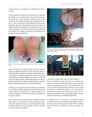Capítulo 5. El ingreso a la sala de ordeño…
45
• Casos clínicos de mastitis por deslizamiento de pe-
zoneras.
Los principales mecanismos que asocian a la máquina
de ordeño con la aparición de nuevos casos de mas-
titis clínica son: a) alto desafío bacteriano en la punta
del pezón; b) extensas fluctuaciones irregulares de va-
cío; c) una combinación entre extensas fluctuaciones
irregulares de vacío y fluctuaciones cíclicas de vacío; d)
deslizamientos de pezoneras; e) impactos de aire en la
punta del pezón; f) excesivo nivel de vacío; g) relación
de pulsado muy amplia; h) frecuencia de pulsado muy
rápida; i) pulsación inefectiva.
Según el diseño de la sala (línea de leche alta, media o
baja) son necesarios distintos niveles de vacío para po-
der llevar la leche desde los colectores al estanque, pero
no así el vacío necesario para extraer la leche de la vaca
el cual debe ser siempre estable y el mismo en todas las
vacas. No debe superar prolongadamente los 42 kpa ni
estar por debajo de los 36 kpa, especialmente cuando el
flujo de leche es bajo (al inicio y al final del ordeño).
Configurar un vacío alto al final del ordeño, pero retirando
con nivel alto de leche residual con el fin de dinamizar el
ordeño, debe ser realizado por un asesor experto y en
estrecha relación con el servicio técnico que represente
su sala de ordeño.
Por lo general, en las lecherías los manómetros están
defectuosos y si funcionan son sólo indicador aproxi-
mado del nivel real de vacío. Un variador de frecuencia
permite mantener un vacío estable, siempre y cuando
no existan fugas en el equipo.
Foto 15. Pezones congestivos post ordeño por alto vacío en bajo flujo de
leche.
El arte de la regulación del vacío y la pulsación está en que deben ser igual
tanto para una sola vaca ordeñándose, como para todas las unidades ocu-
padas al mismo tiempo.
¿Por qué es importante evitar el sobreordeño?
Una vez finalizado el flujo de leche en el colector se
deben retirar suavemente las pezoneras, pero siempre
cortando previamente el vacío. El procedimiento co-
rrecto es retirar las pezoneras cortando el vacío antes
de retirar las unidades de ordeño. Por lo general se
recomienda un retiro a los 400 ml por minuto, sin em-
bargo, este parámetro se puede regular según caracte-
rísticas del rebaño y necesidades especiales.
Se debe tener en cuenta que es imposible ordeñar
completamente la ubre, siempre queda algo de leche y
ésta es la que sirve de guía para poder retirar a tiempo
sin causar daños, consulte a su asesor en salud ma-
maria.
 