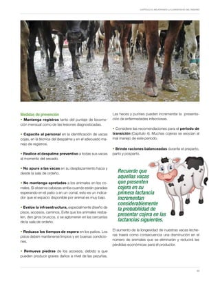 Capítulo 6. Mejorando la longevidad del rebaño
55
Las heces y purines pueden incrementar la presenta-
ción de enfermedades infecciosas.
• Considere las recomendaciones para el período de
transición (Capítulo 4). Muchas cojeras se asocian al
mal manejo de este período.
• Brinde raciones balanceadas durante el preparto,
parto y posparto.
Recuerde que
aquellas vacas
que presenten
cojera en su
primera lactancia
incrementan
considerablemente
la probabilidad de
presentar cojera en las
lactancias siguientes.
El aumento de la longevidad de nuestras vacas leche-
ras traerá como consecuencia una disminución en el
número de animales que se eliminarán y reducirá las
pérdidas económicas para el productor.
Medidas de prevención
• Mantenga registros tanto del puntaje de locomo-
ción mensual como de las lesiones diagnosticadas.
• Capacite al personal en la identificación de vacas
cojas, en la técnica del despalme y en el adecuado ma-
nejo de registros.
• Realice el despalme preventivo a todas sus vacas
al momento del secado.
• No apure a las vacas en su desplazamiento hacia y
desde la sala de ordeño.
• No mantenga apretadas a los animales en los co-
rrales. Si observa cabezas arriba cuando están paradas
esperando en el patio o en un corral, esto es un indica-
dor que el espacio disponible por animal es muy bajo.
• Evalúe la infraestructura, especialmente diseño de
pisos, accesos, caminos. Evite que los animales resba-
len, den giros bruscos, o se aglomeren en las cercanías
de la sala de ordeño.
• Reduzca los tiempos de espera en los patios. Los
pisos deben mantenerse limpios y en buenas condicio-
nes.
• Remueva piedras de los accesos, debido a que
pueden producir graves daños a nivel de las pezuñas.
 